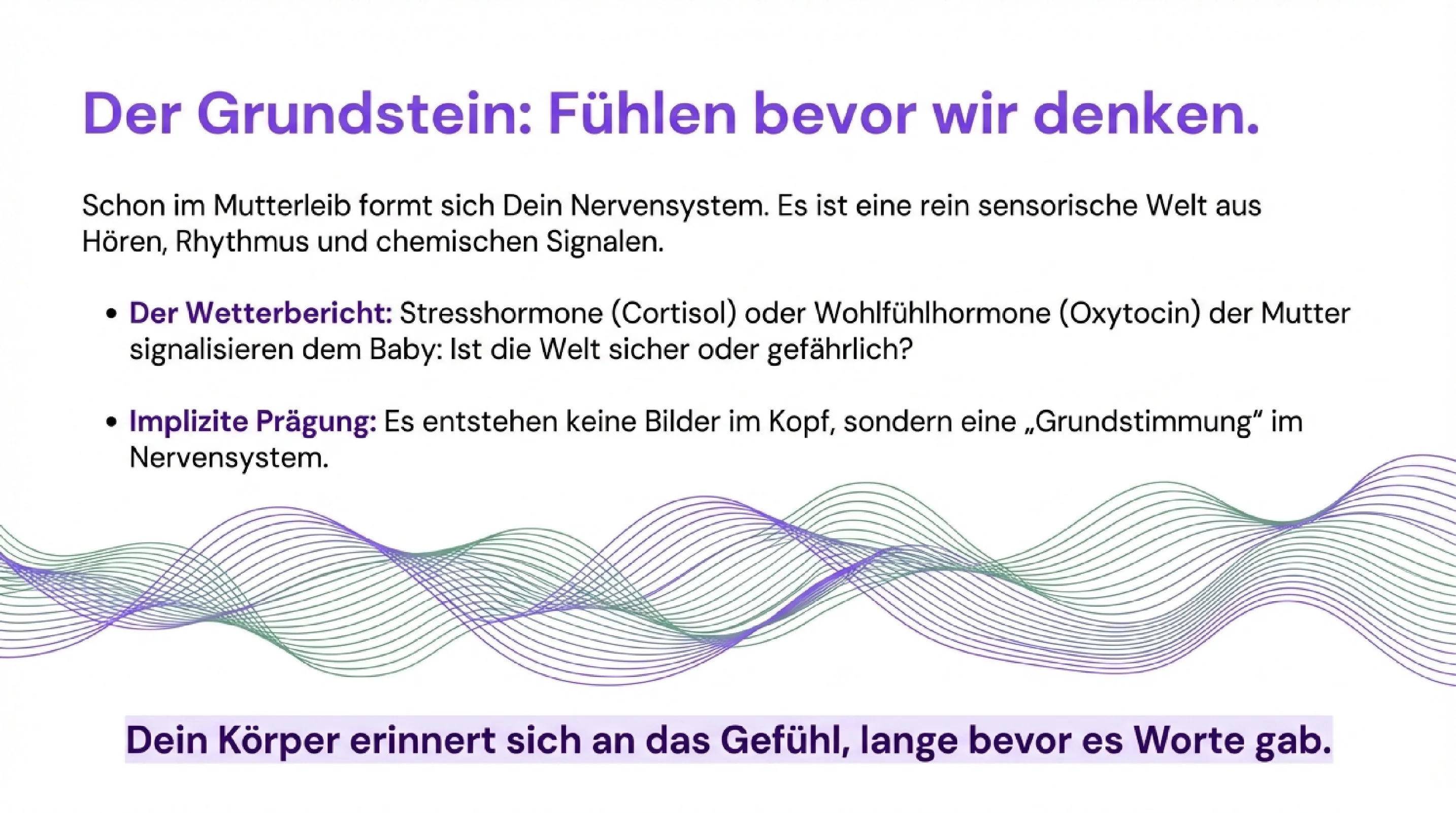 Der Bauplan deiner Gefühle - Seite 3