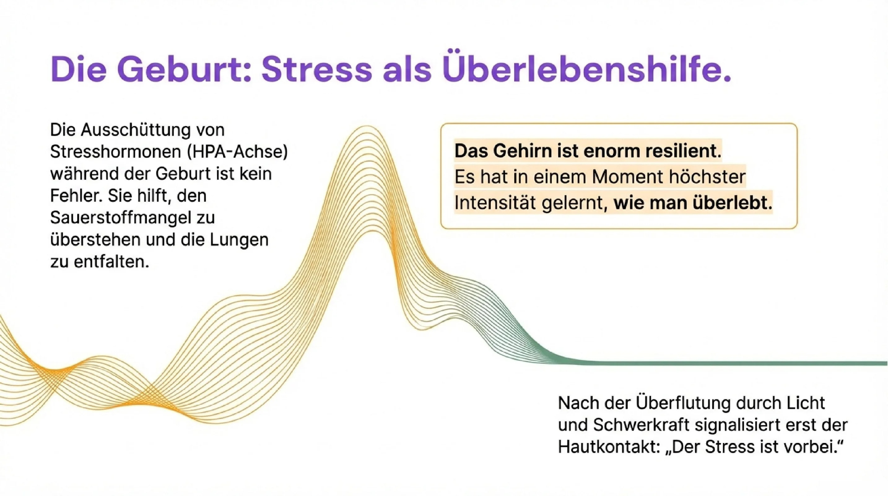 Der Bauplan deiner Gefühle - Seite 4