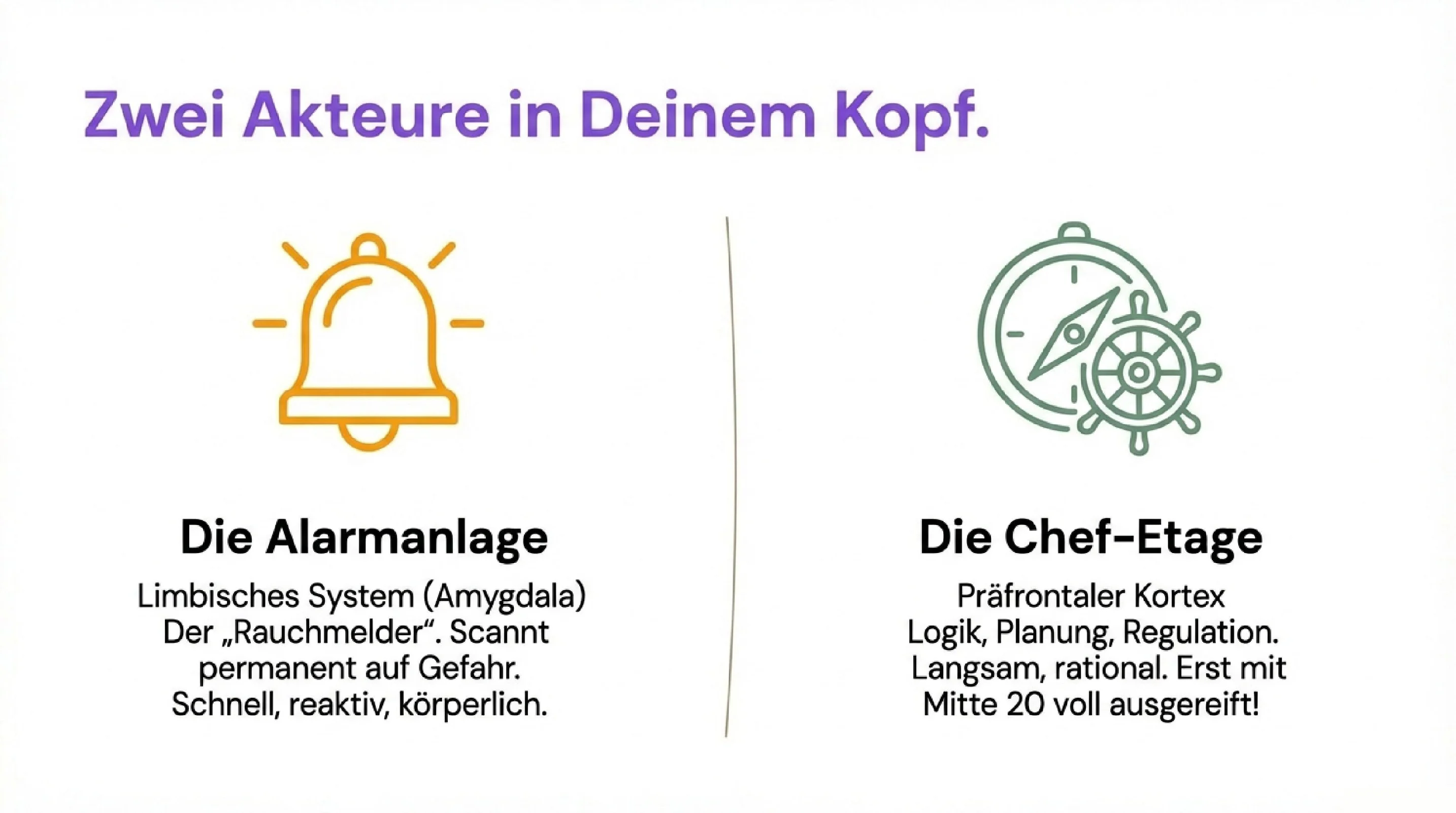 Der Bauplan deiner Gefühle - Seite 7