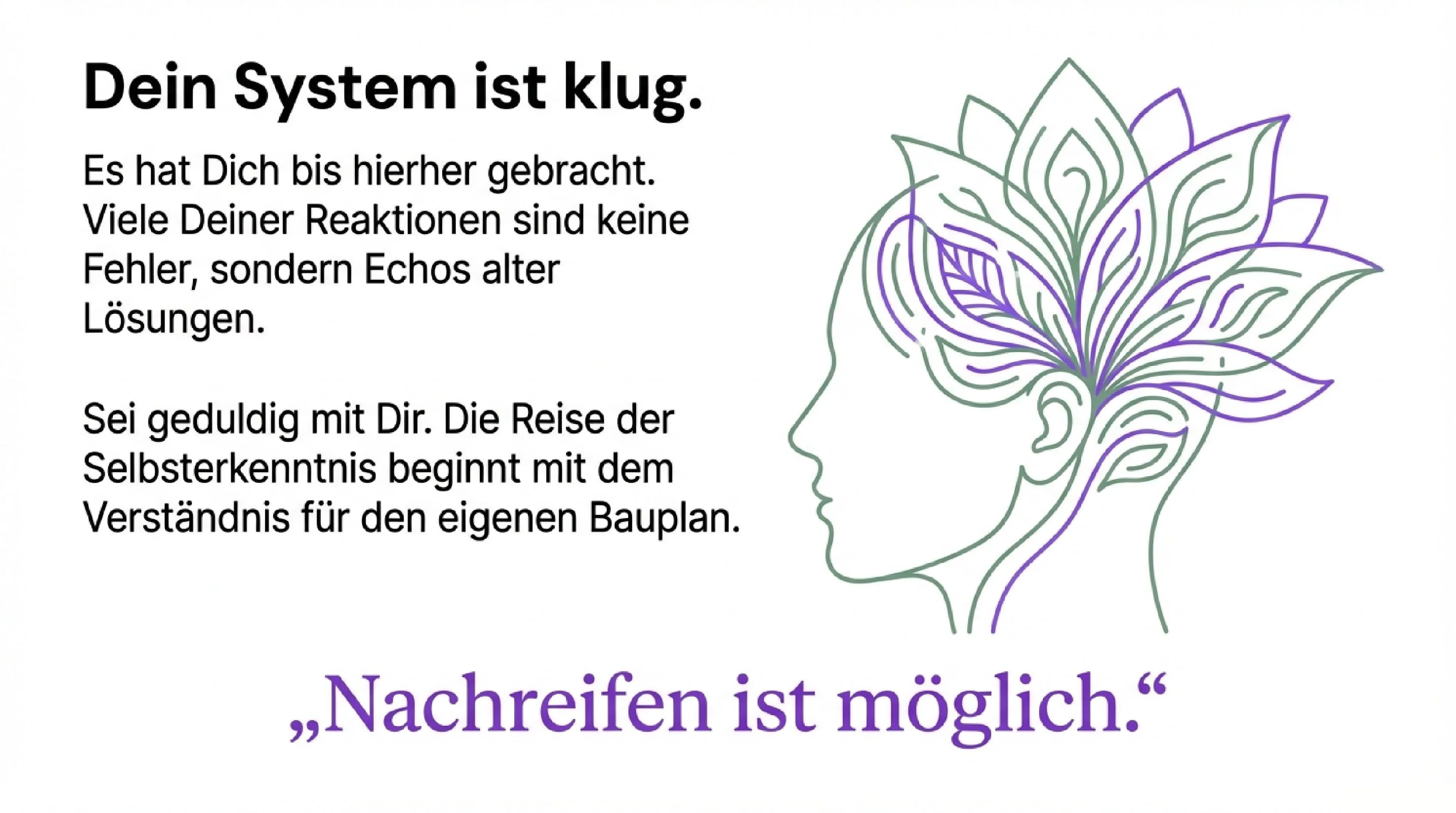 Der Bauplan deiner Gefühle - Seite 11