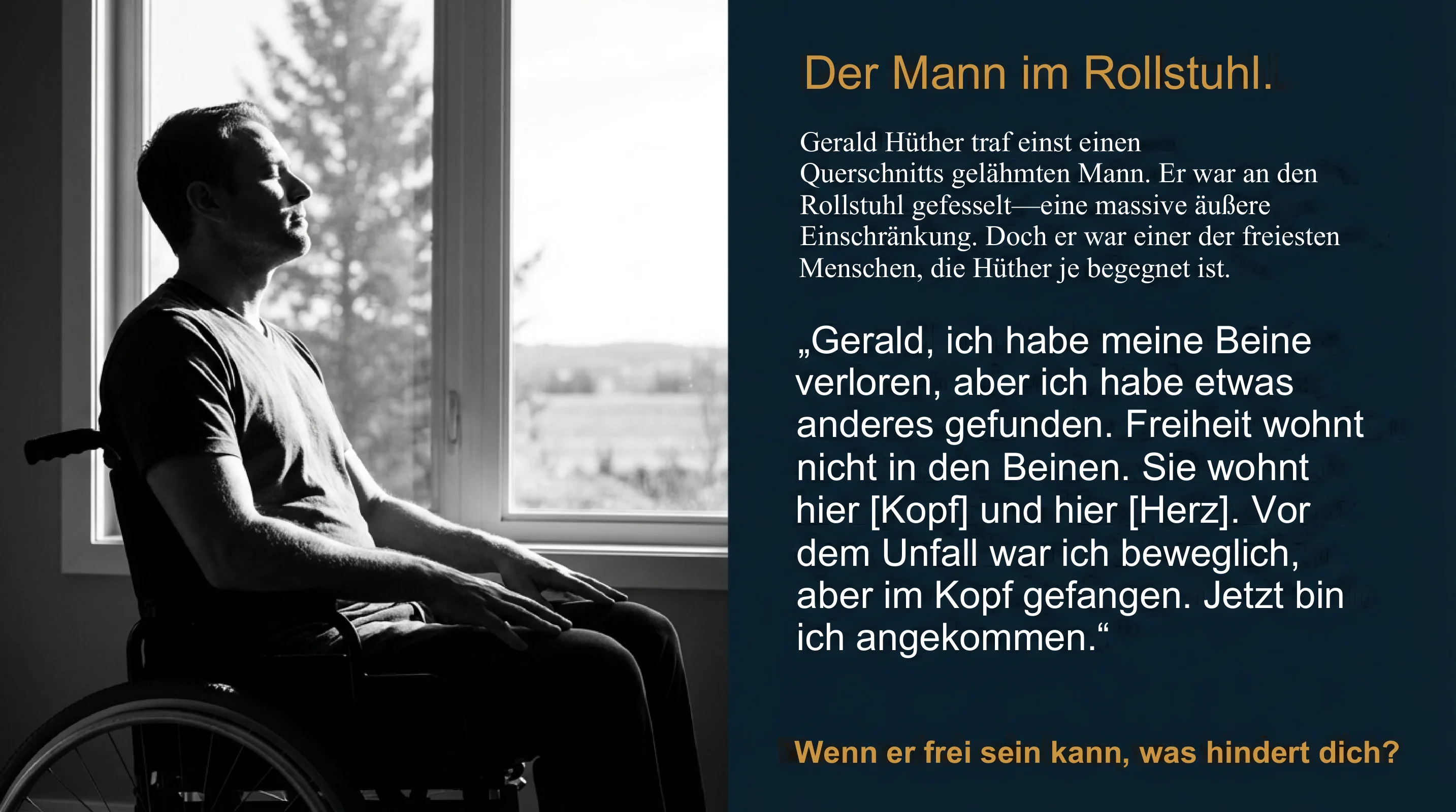 Freiheit ohne Veränderung - Seite 3