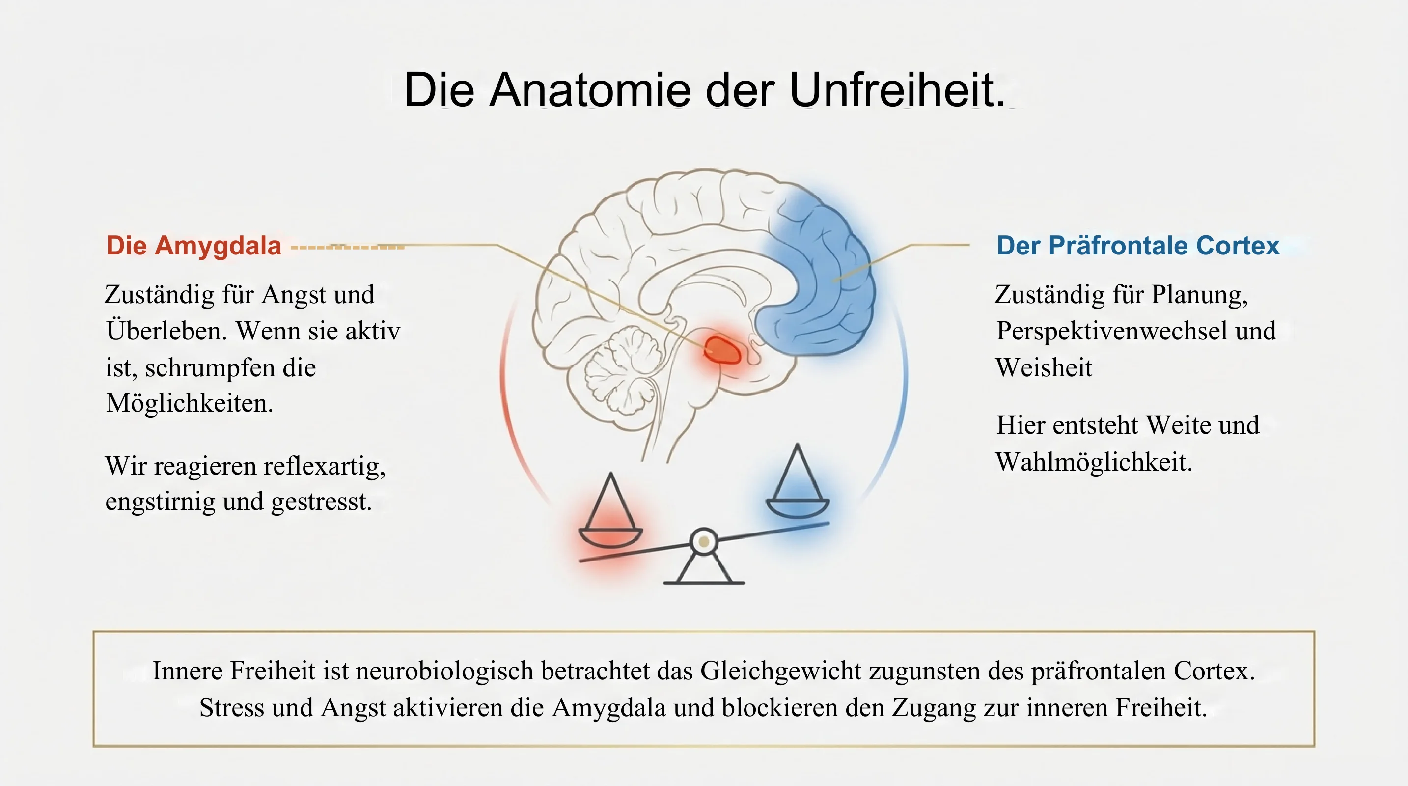 Freiheit ohne Veränderung - Seite 6