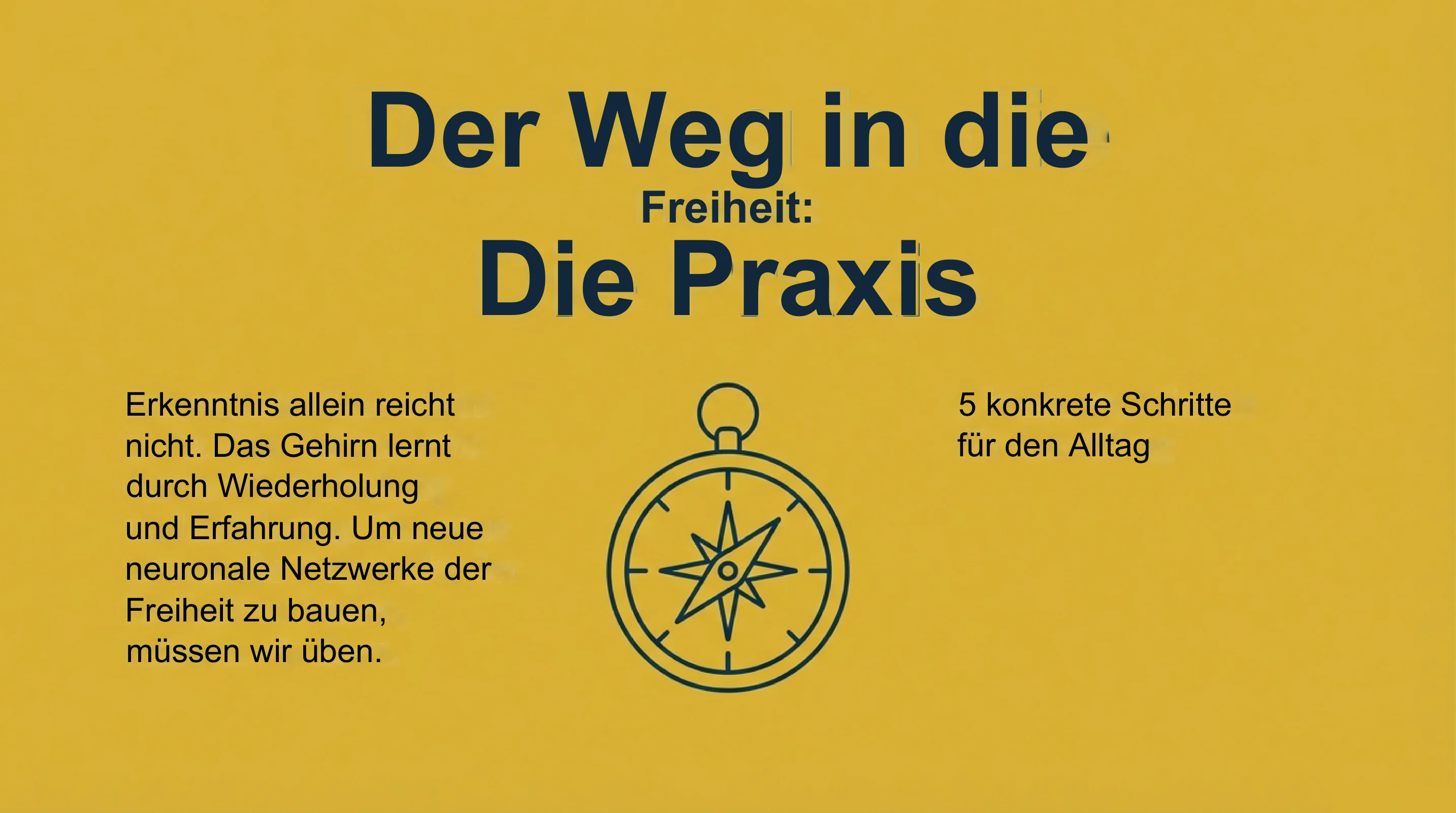 Freiheit ohne Veränderung - Seite 12