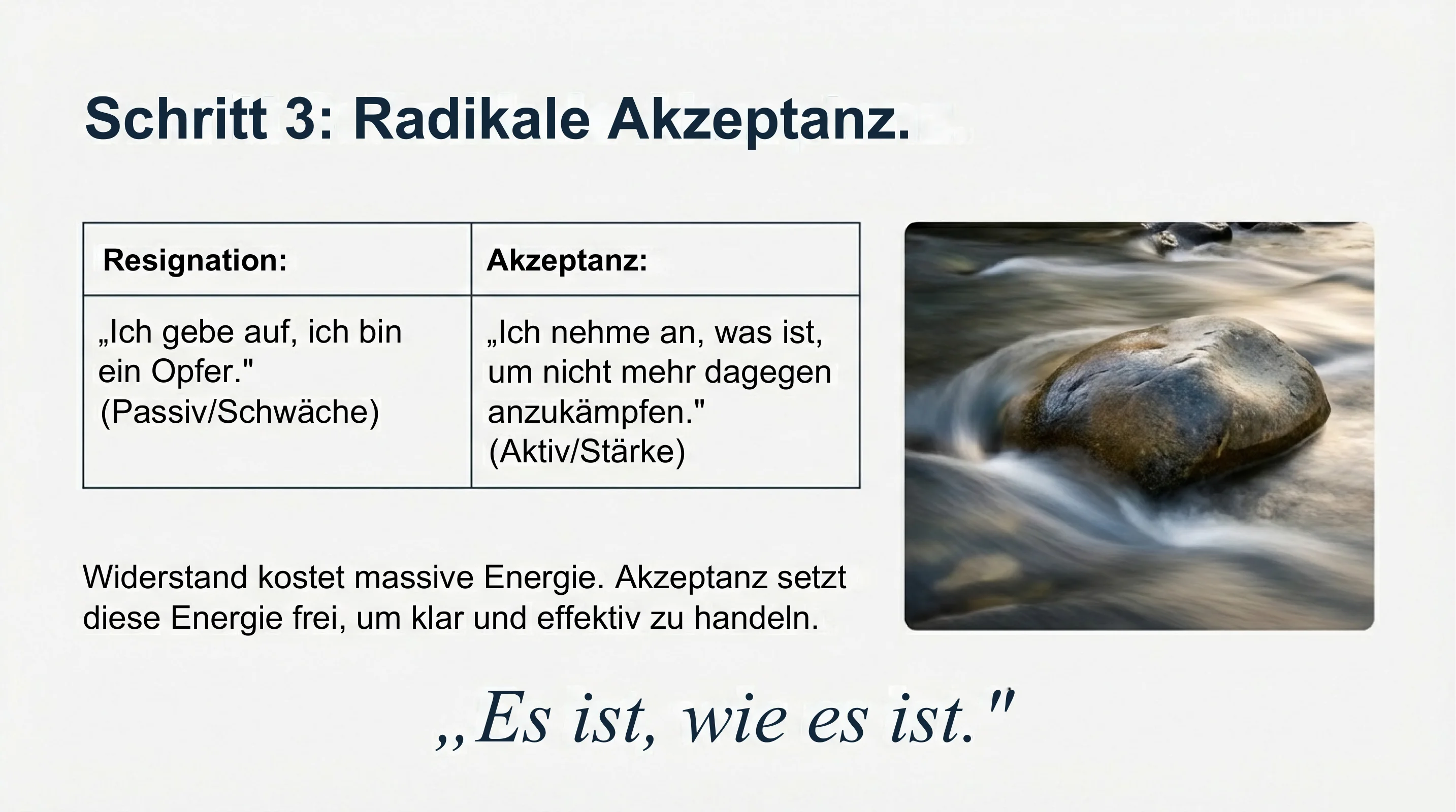 Freiheit ohne Veränderung - Seite 14