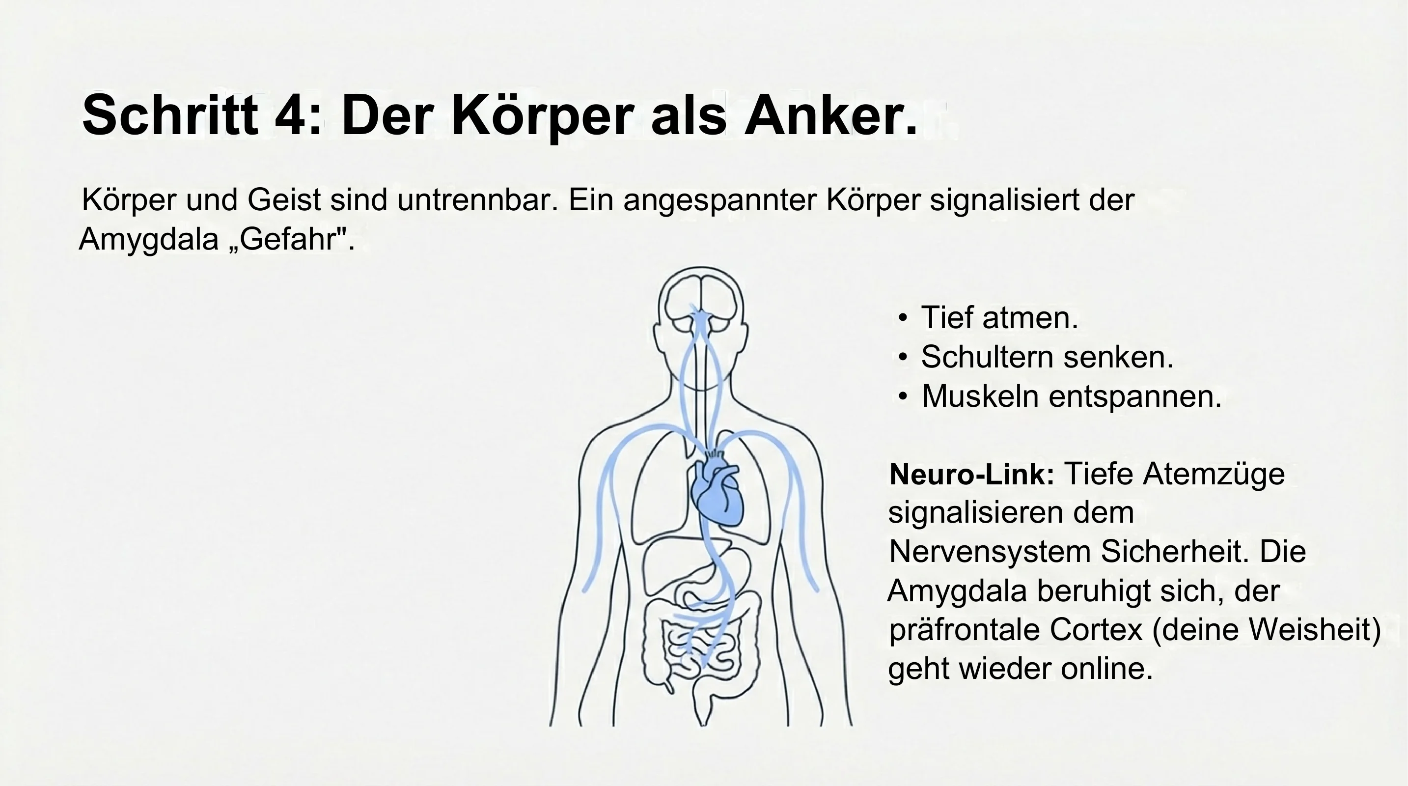 Freiheit ohne Veränderung - Seite 15
