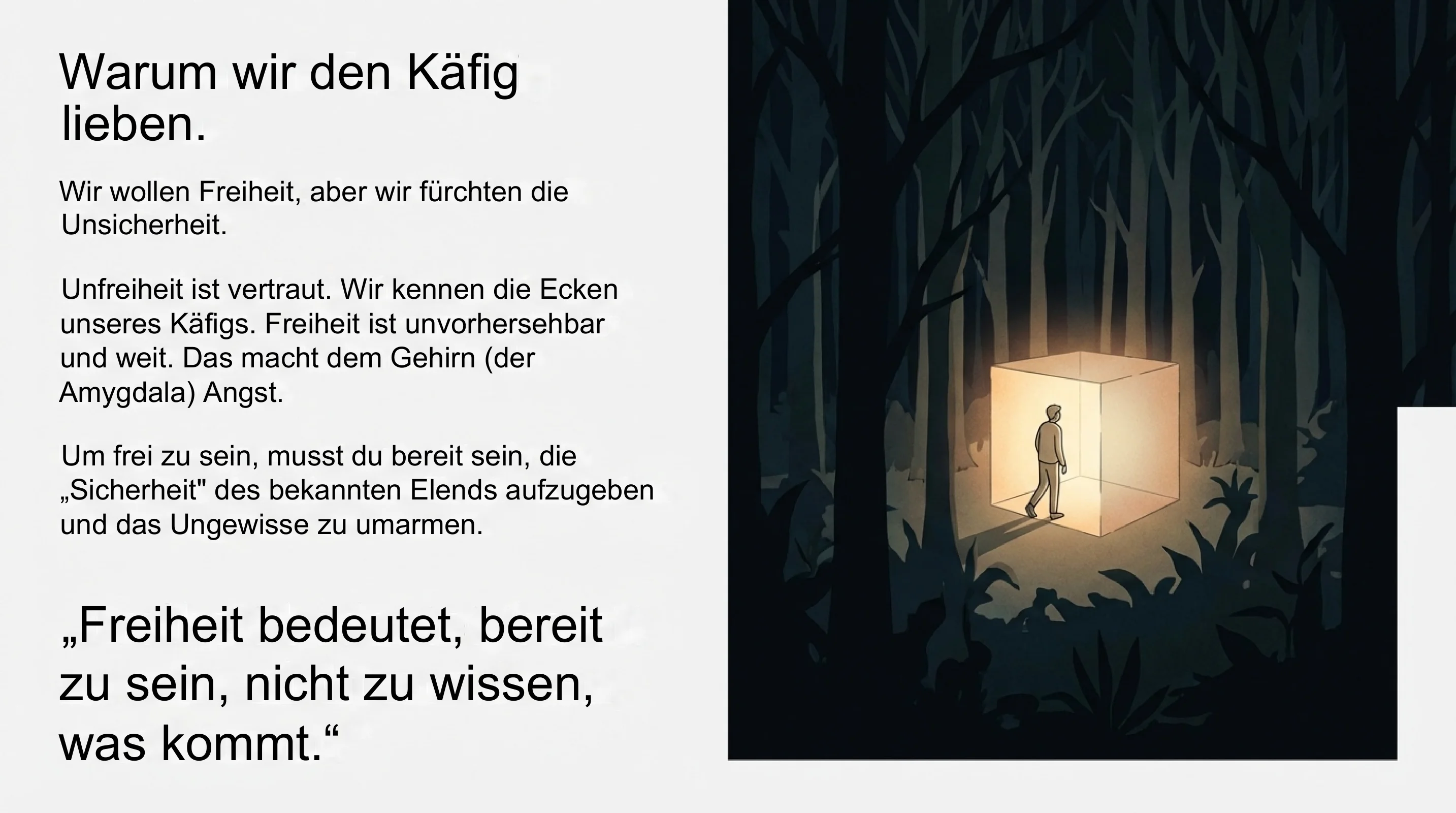 Freiheit ohne Veränderung - Seite 17