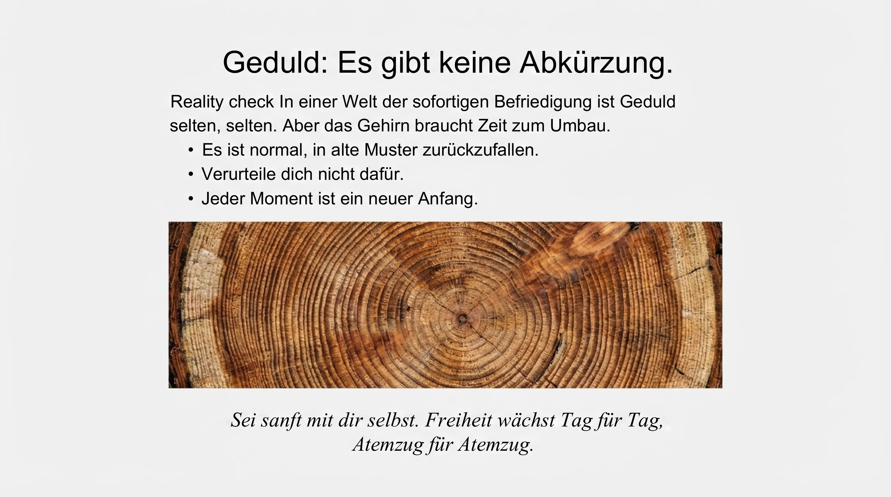 Freiheit ohne Veränderung - Seite 19