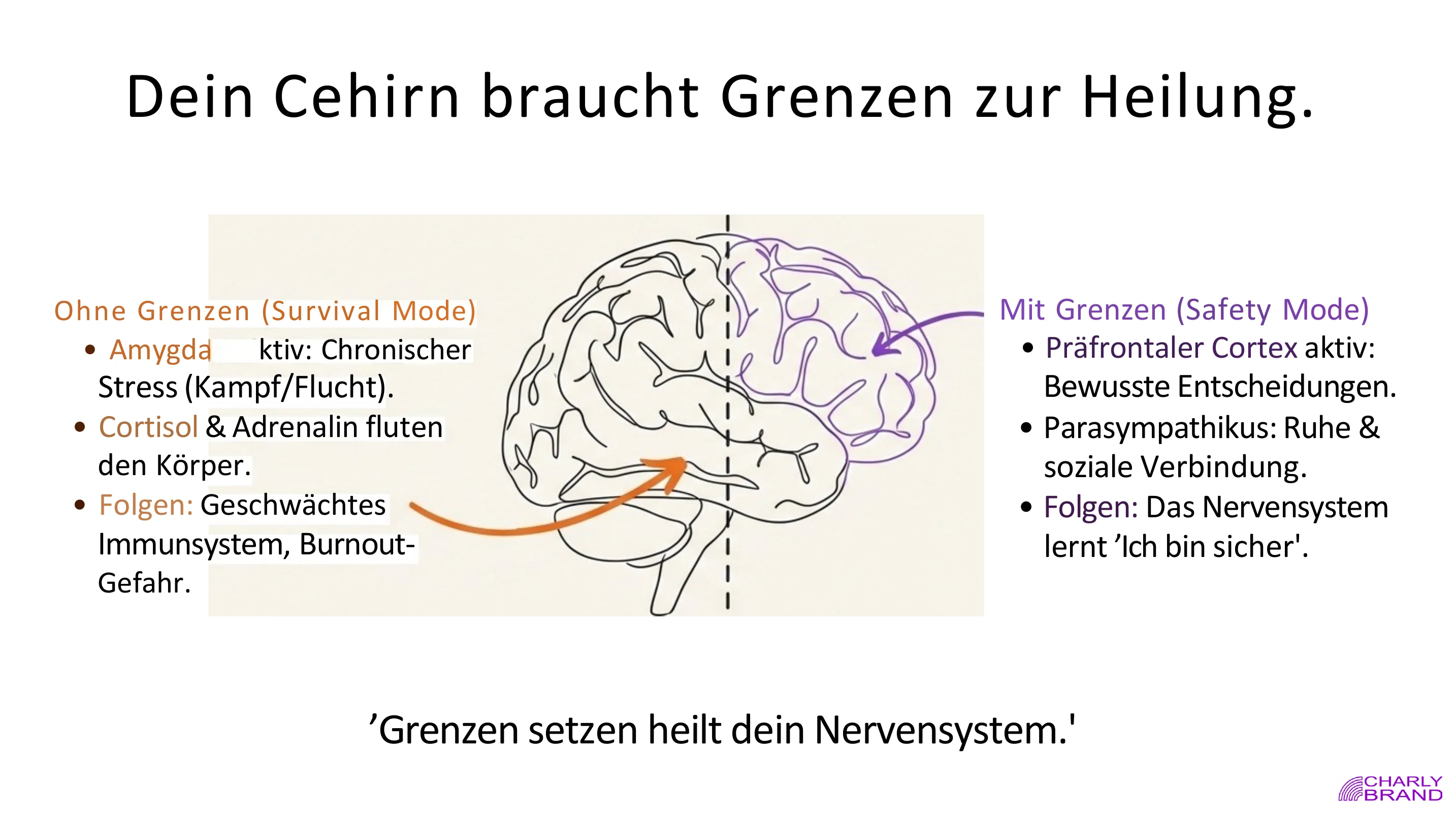 Innere Grenzen -> wahre Verbindung - Seite 5