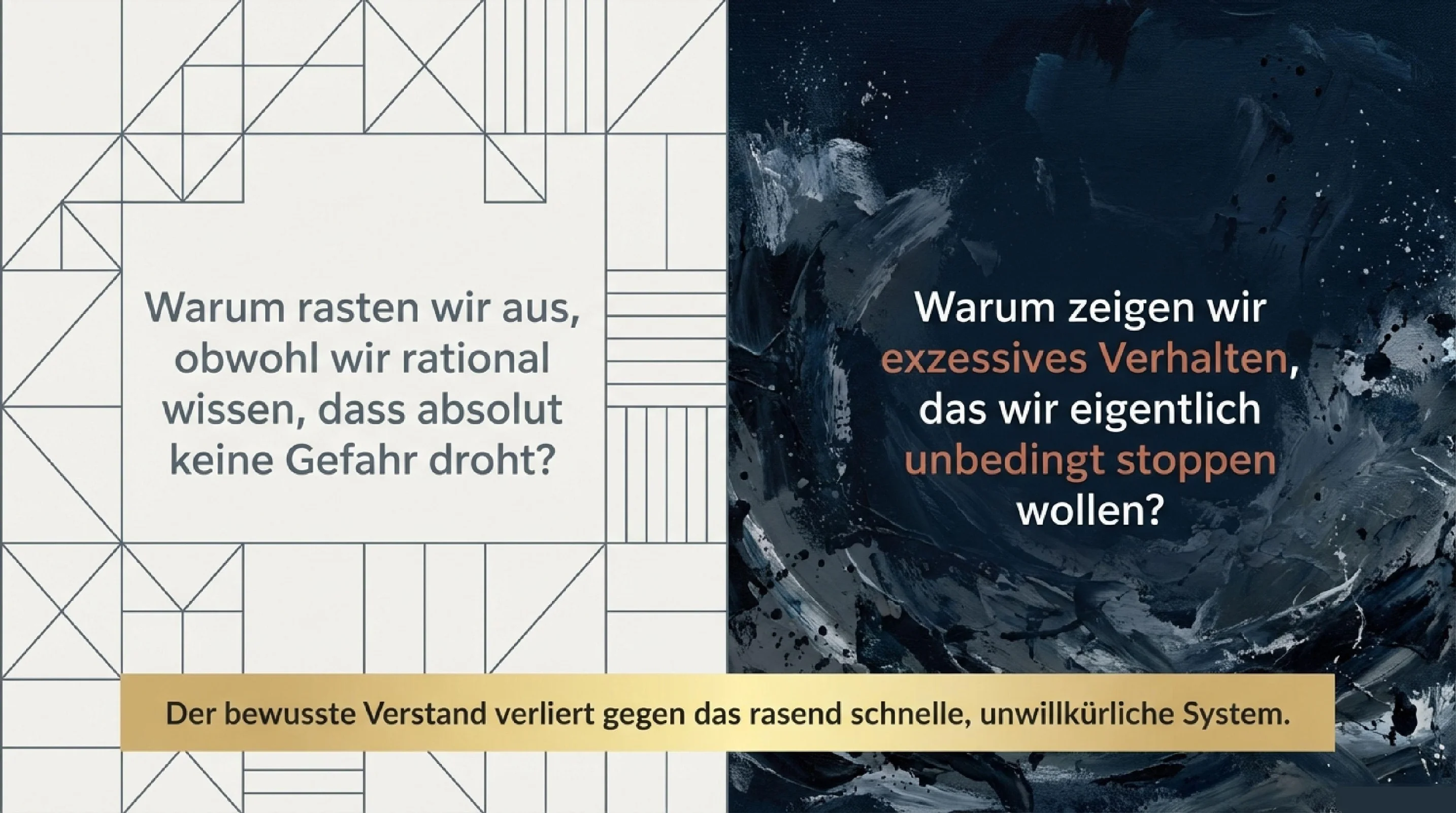 Innere System Meisterschaft - Seite 2