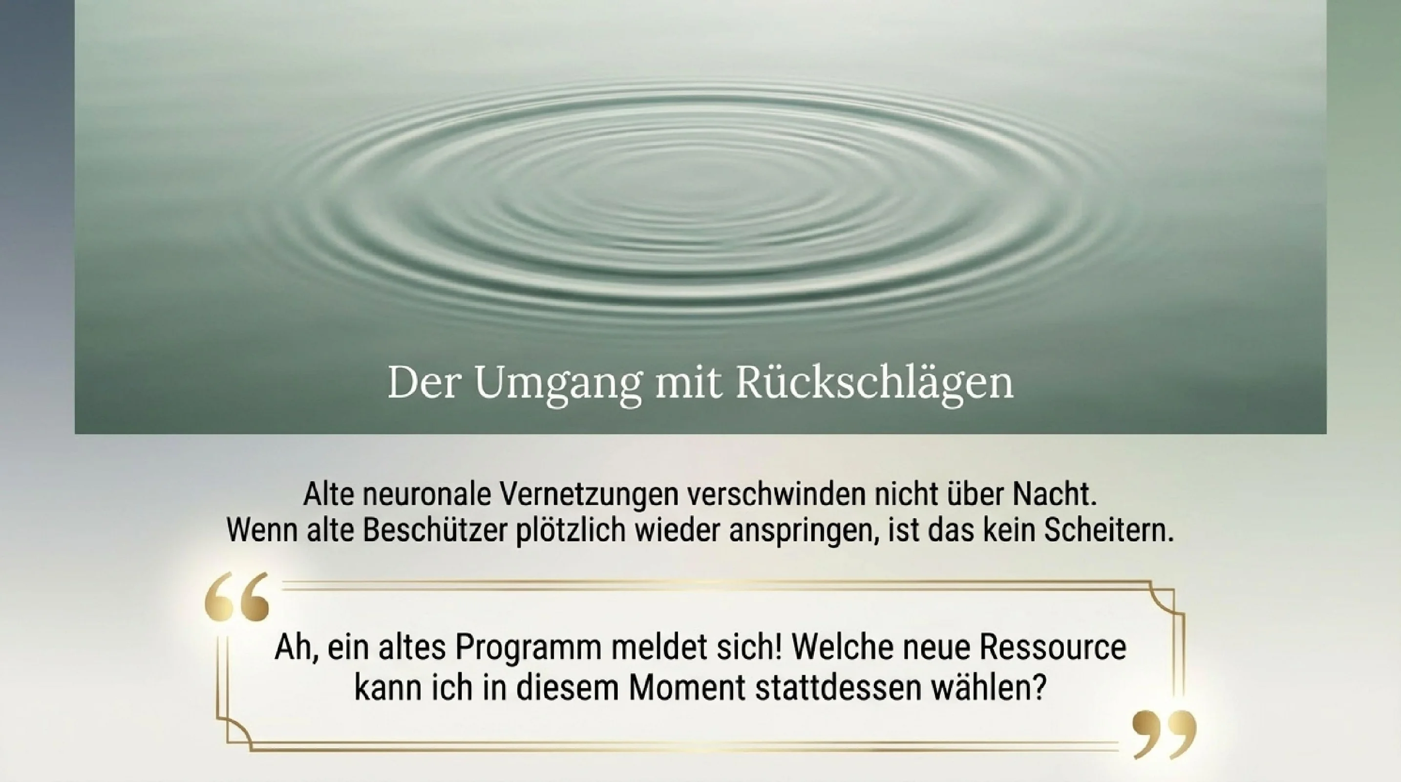 Innere System Meisterschaft - Seite 13