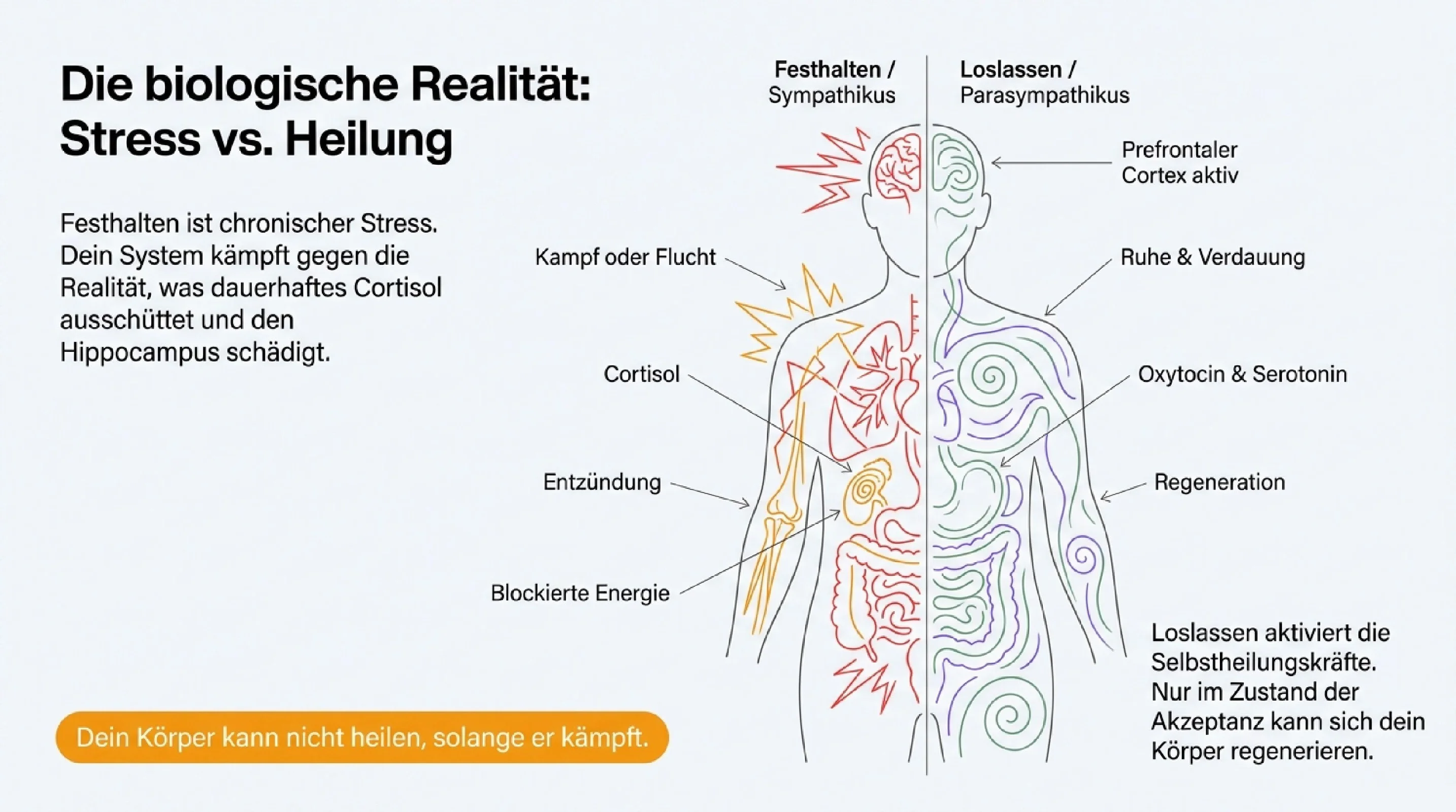 Loslassen heilt. - Seite 2