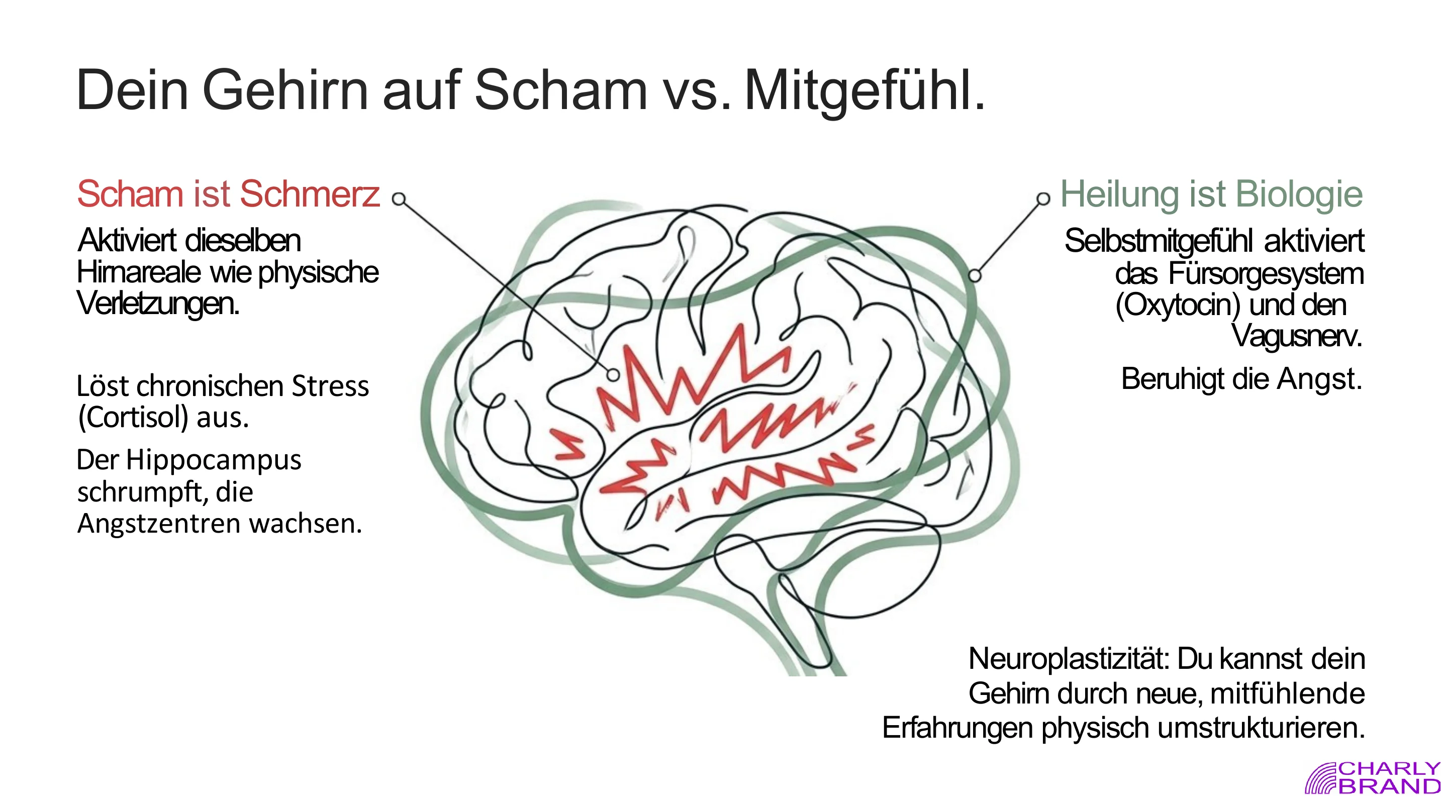 Nicht falsch - nur verletzt! - Seite 5