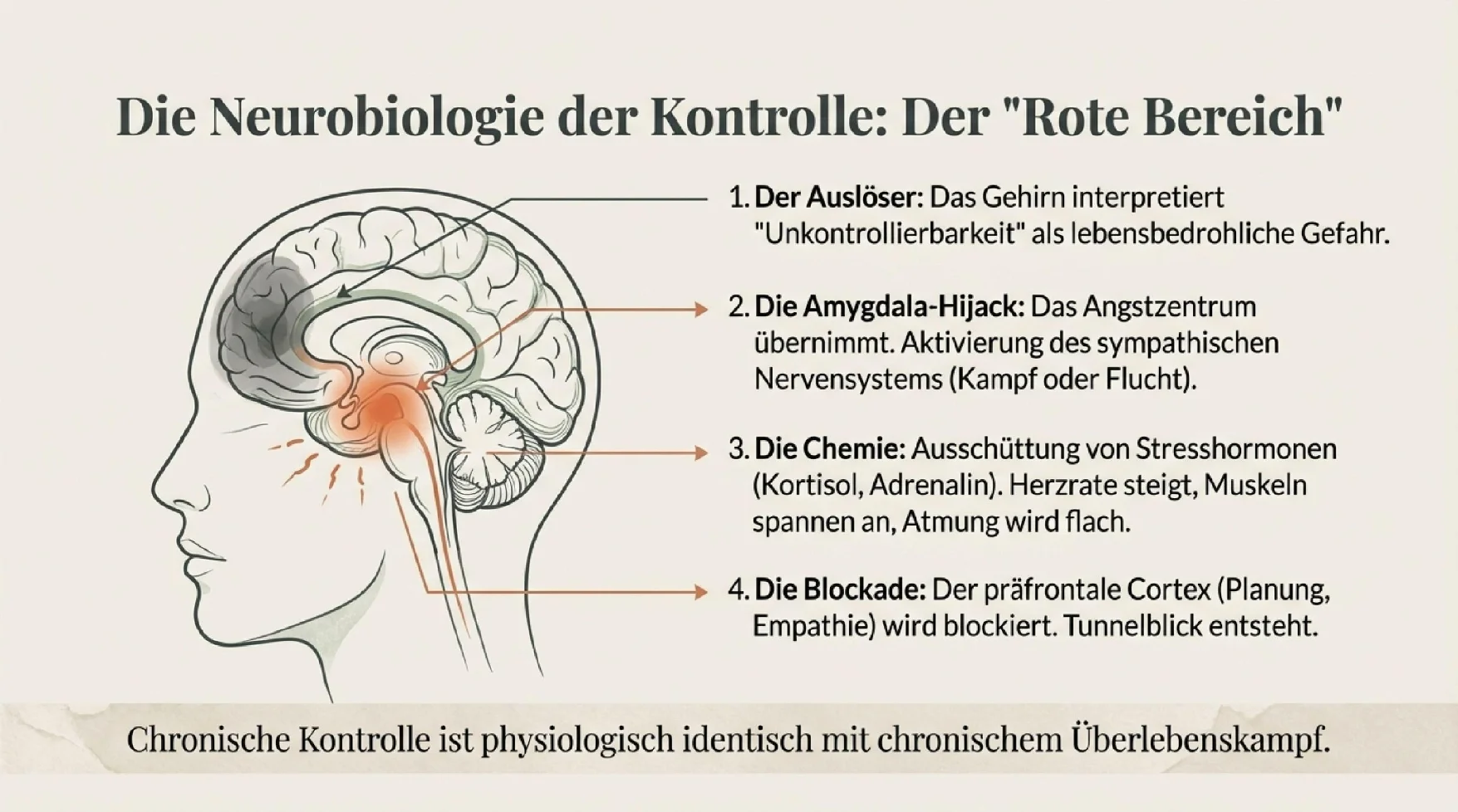 Von der Kontrolle zum Vertrauen - Seite 4