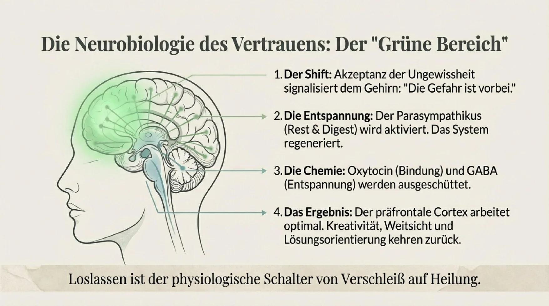 Von der Kontrolle zum Vertrauen - Seite 5