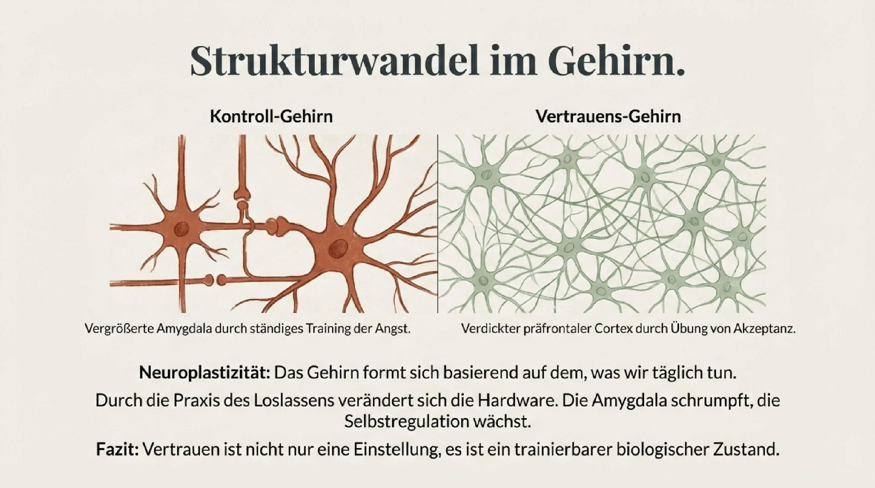 Von der Kontrolle zum Vertrauen - Seite 6