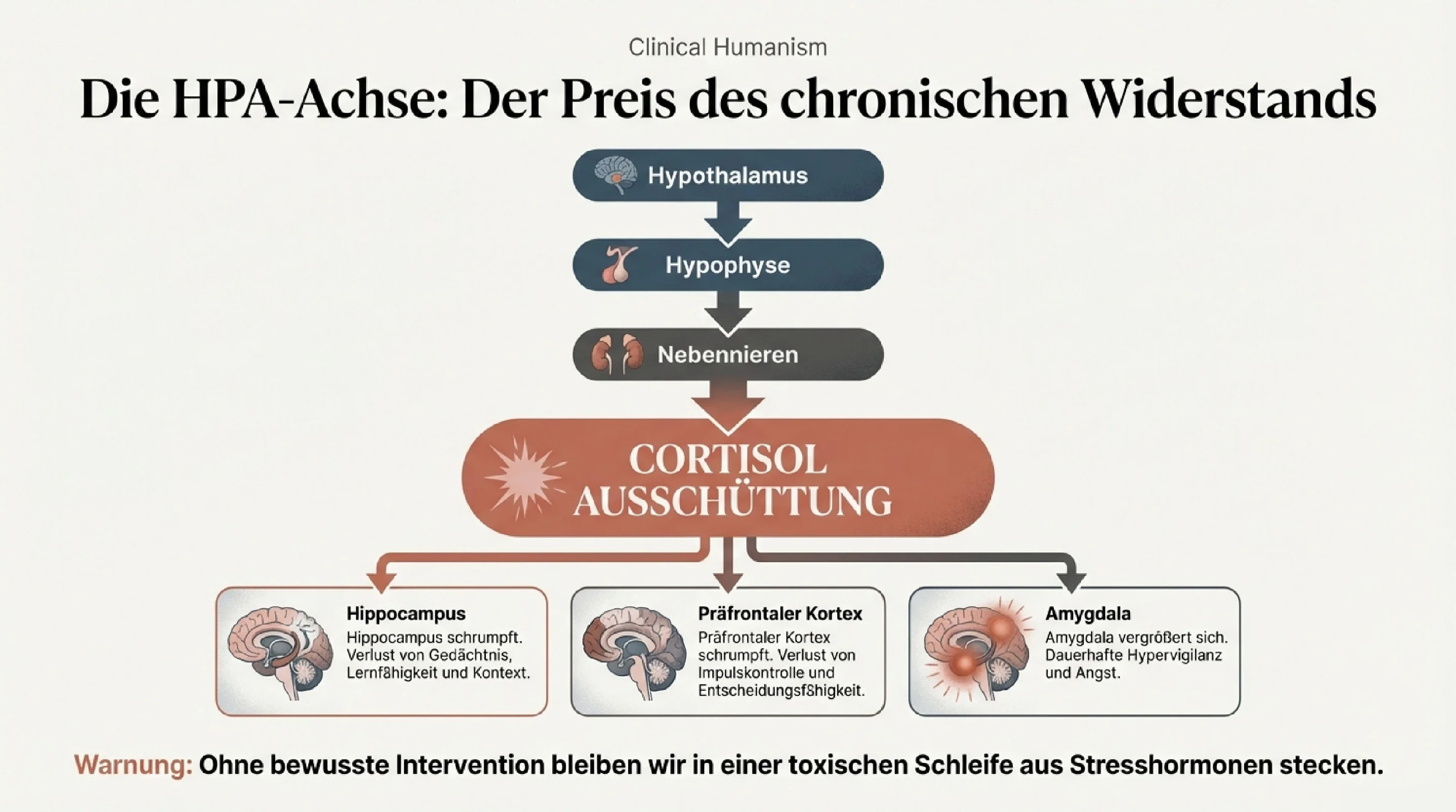 Von der Krise zur Heilung - Seite 4