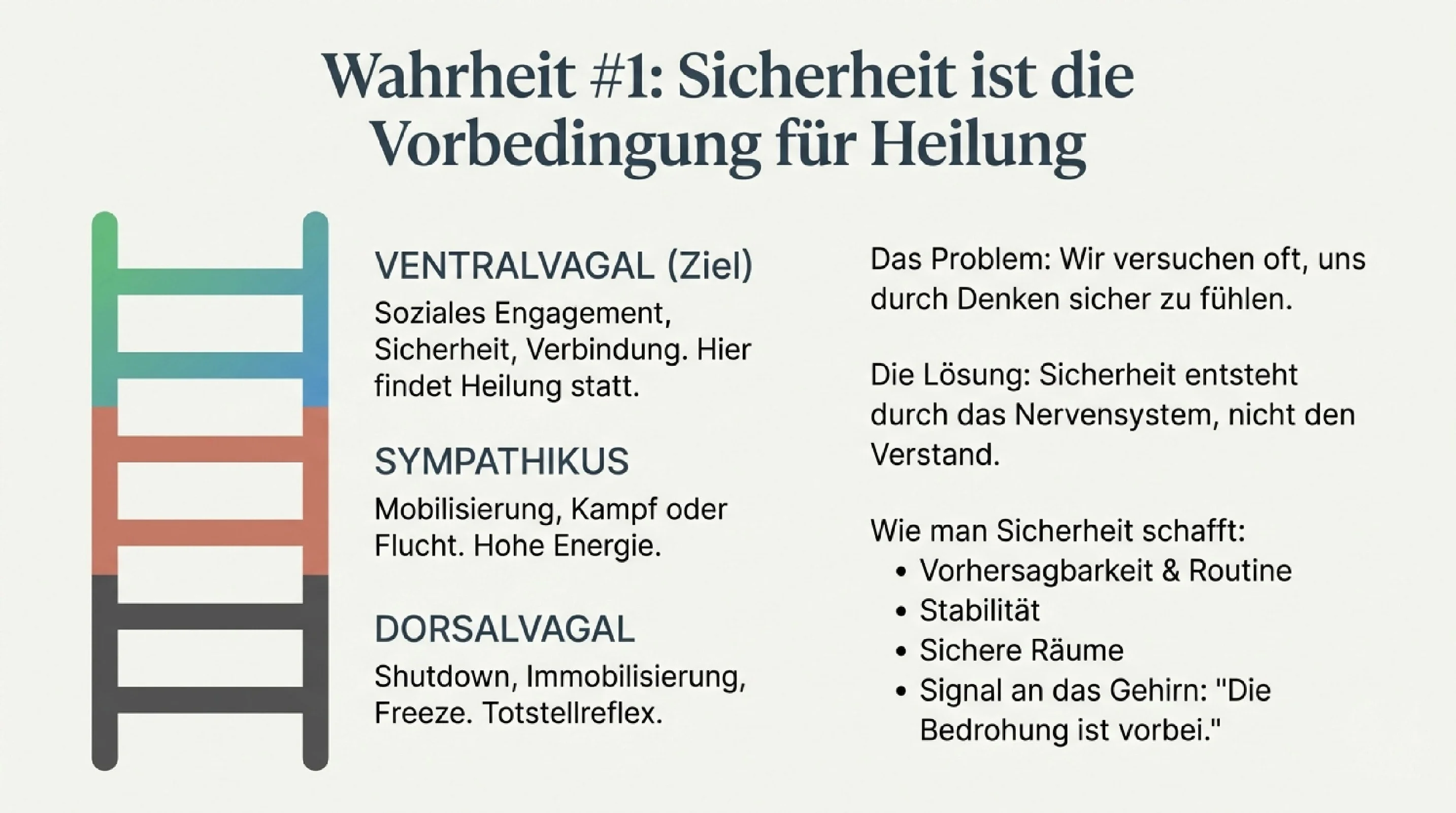 Von der Krise zur Heilung - Seite 5