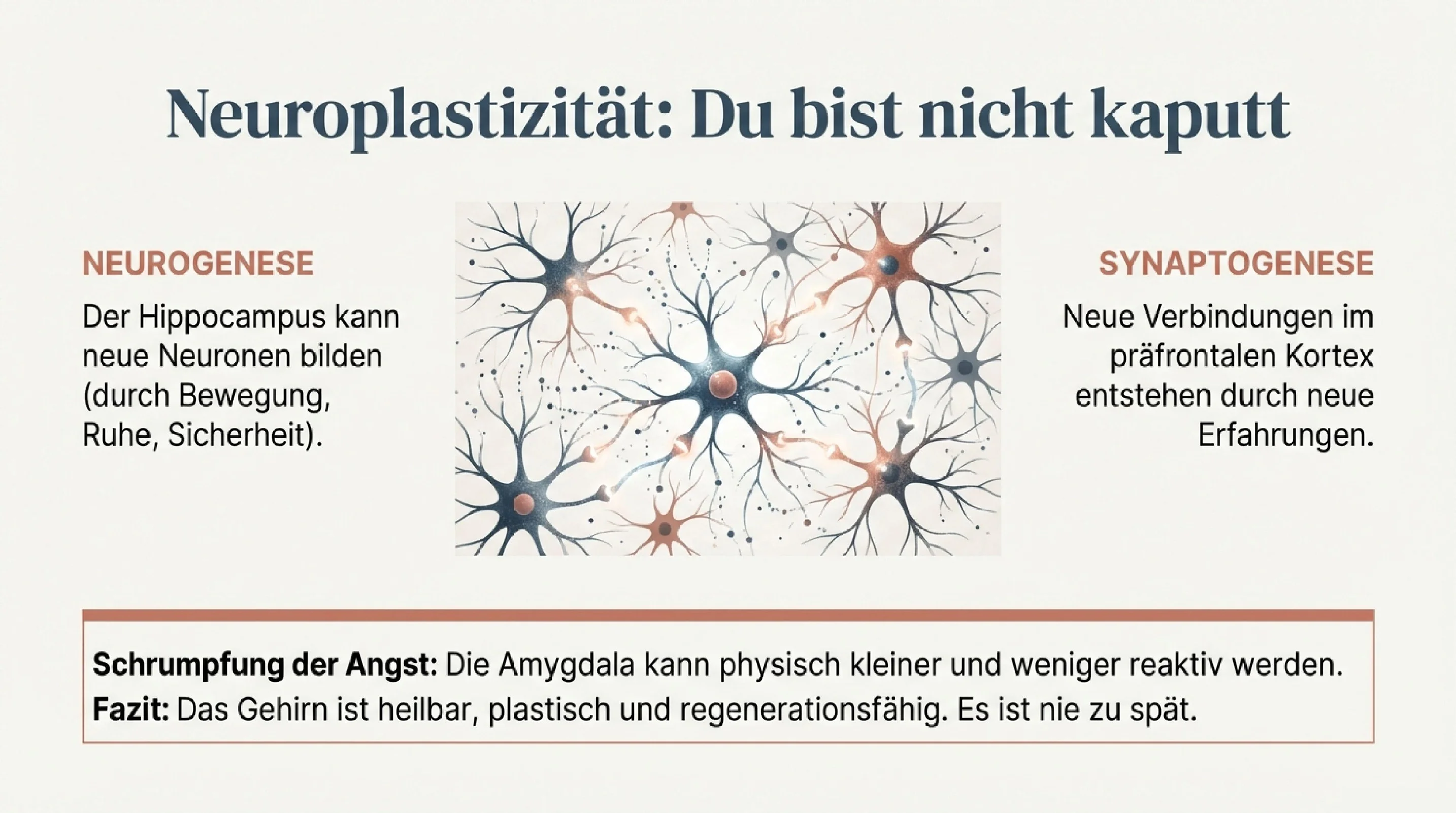 Von der Krise zur Heilung - Seite 12