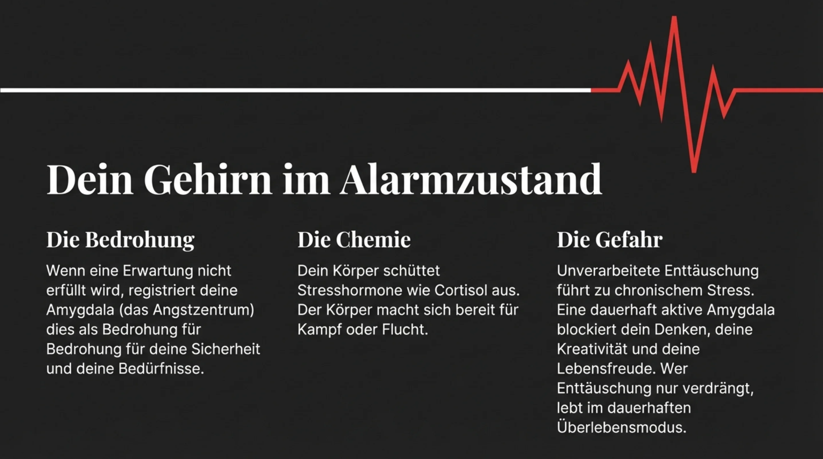 Wachsen an Enttäuschungen - Seite 4