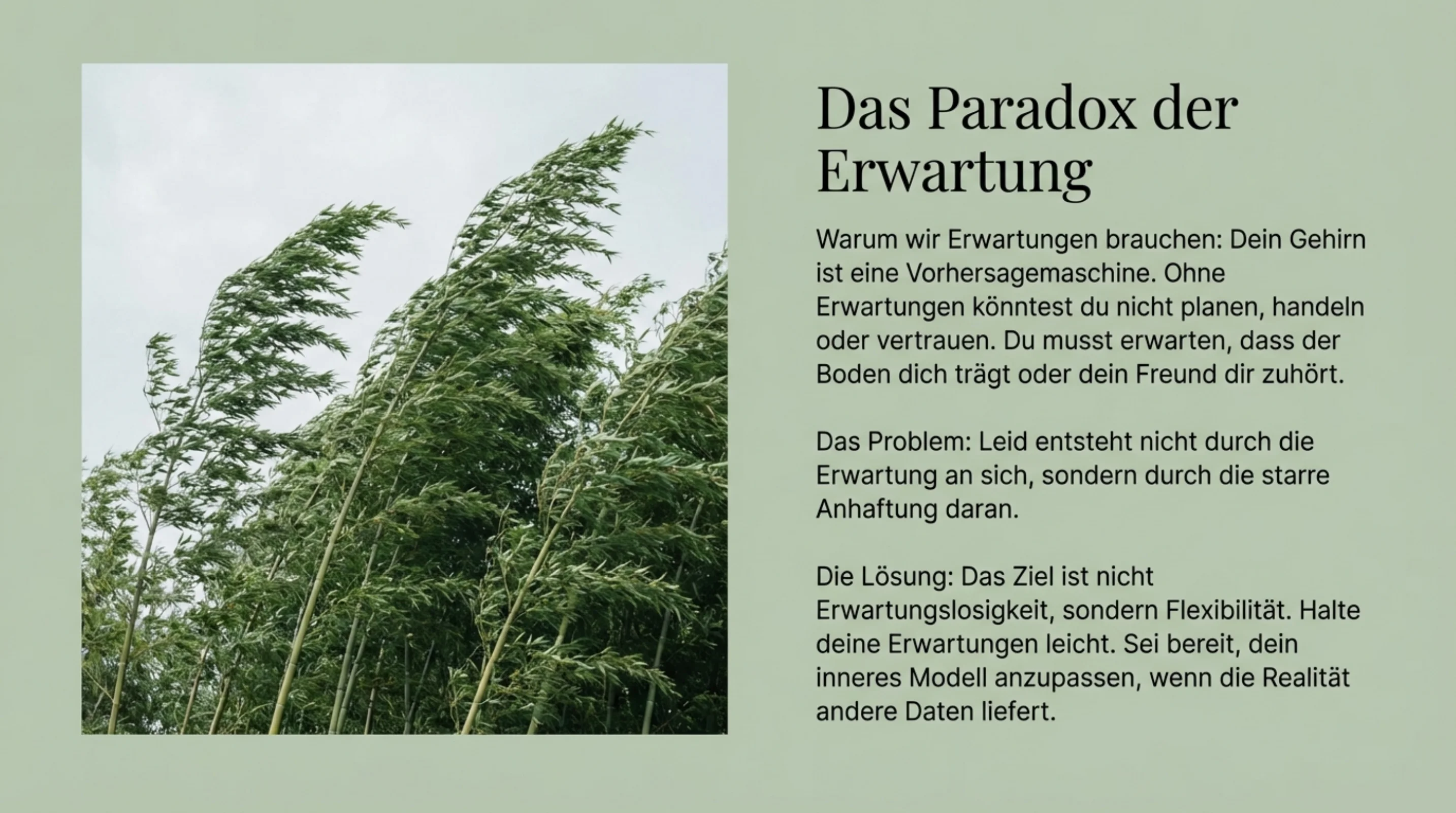 Wachsen an Enttäuschungen - Seite 5