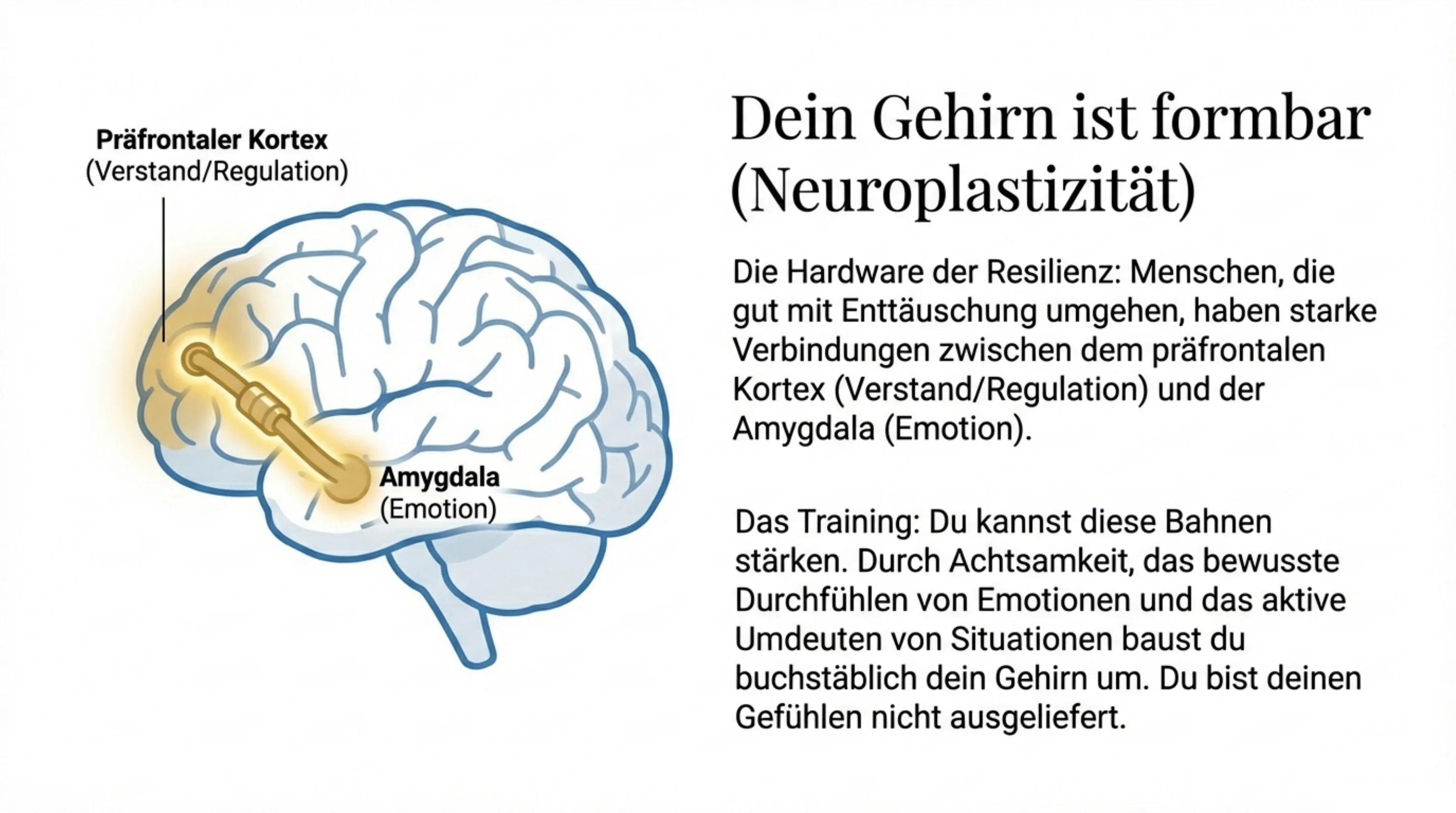 Wachsen an Enttäuschungen - Seite 11