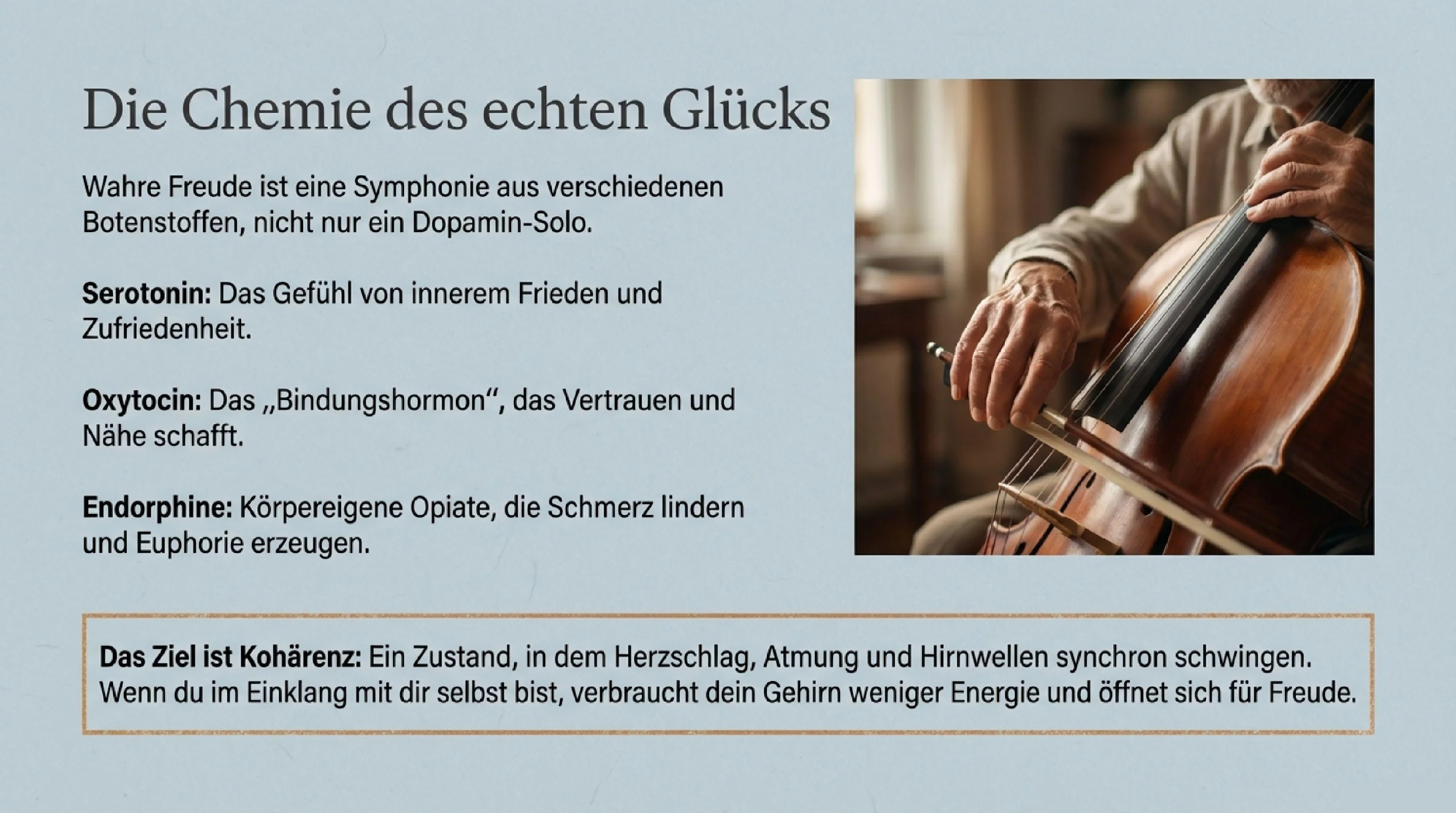 Wieder echte Freude erleben - Seite 3