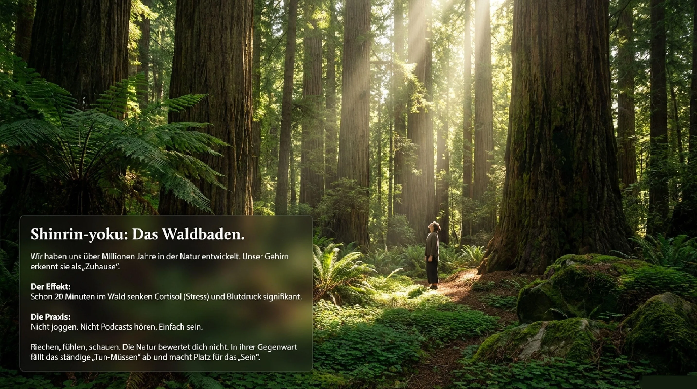 Wieder echte Freude erleben - Seite 9