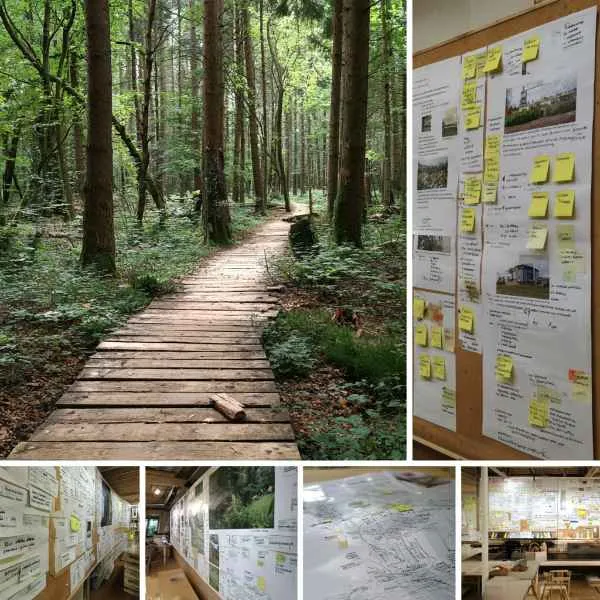 Was ist ein Ideenwald?