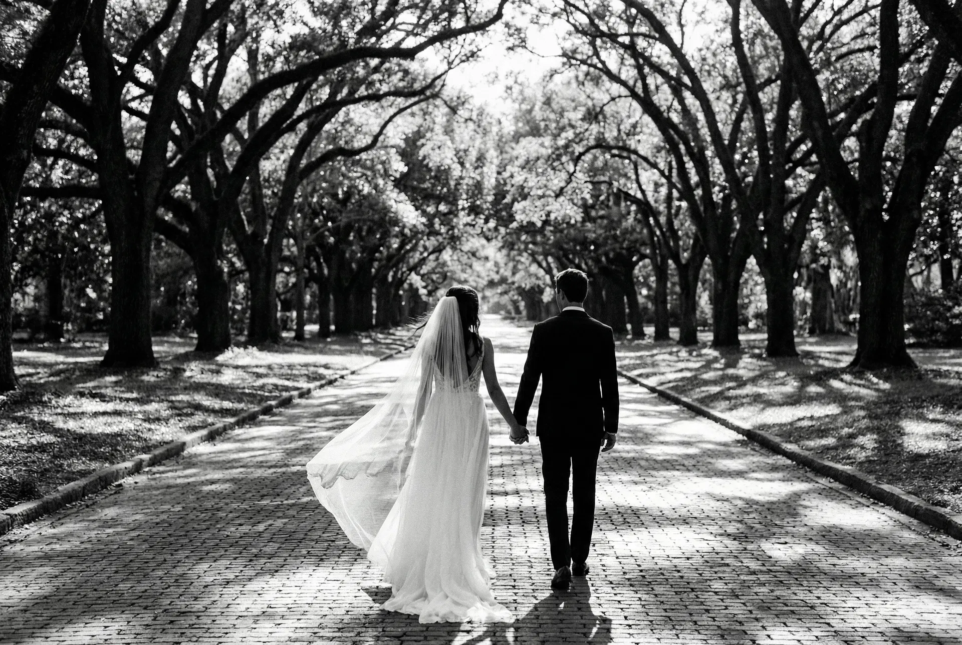 Couple walking down tree-lined avenue