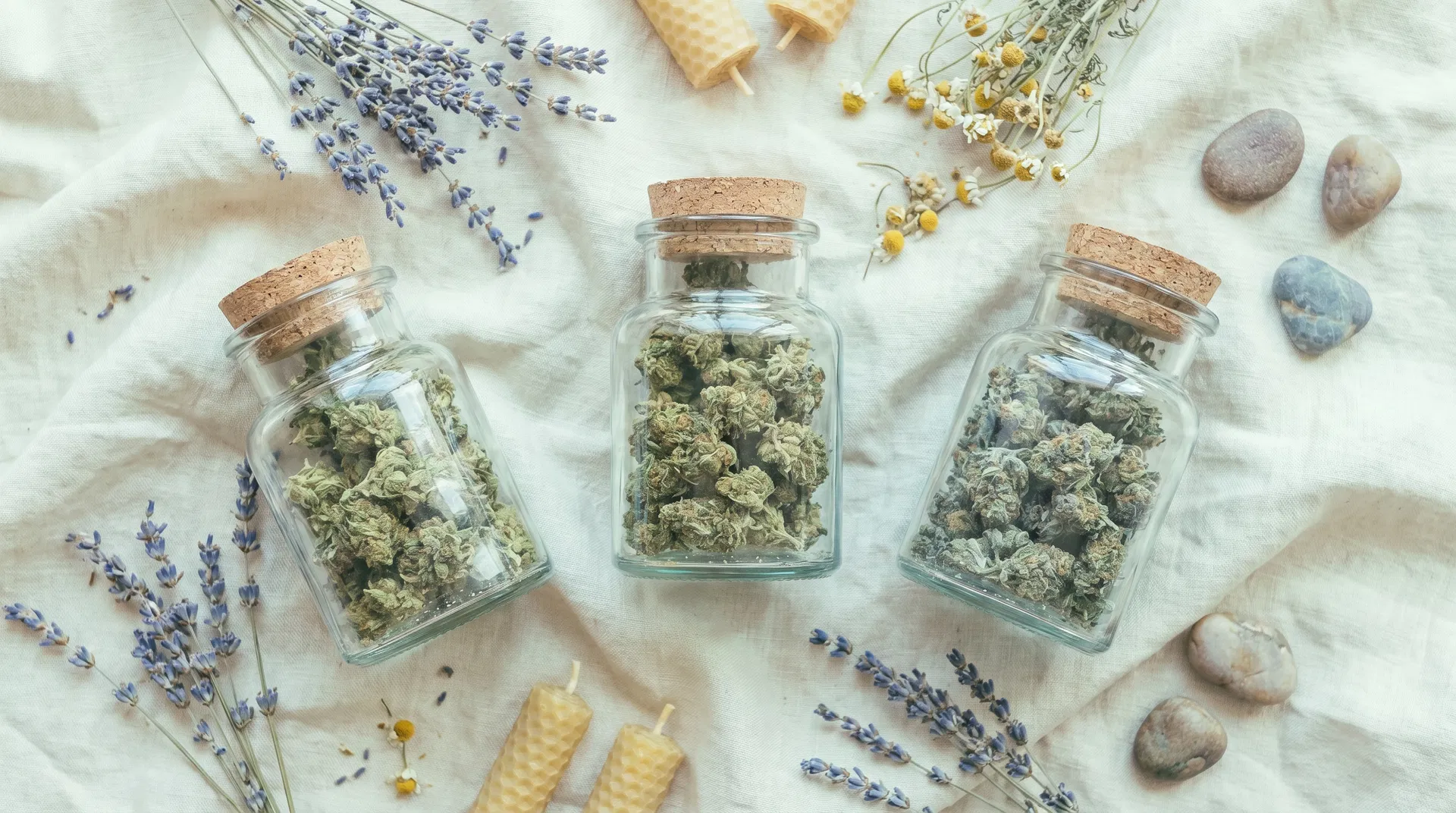 Ansiedade: Charlotte's Web vs Lemon Octain vs Astro Candy — Qual Strain Acalma Melhor?