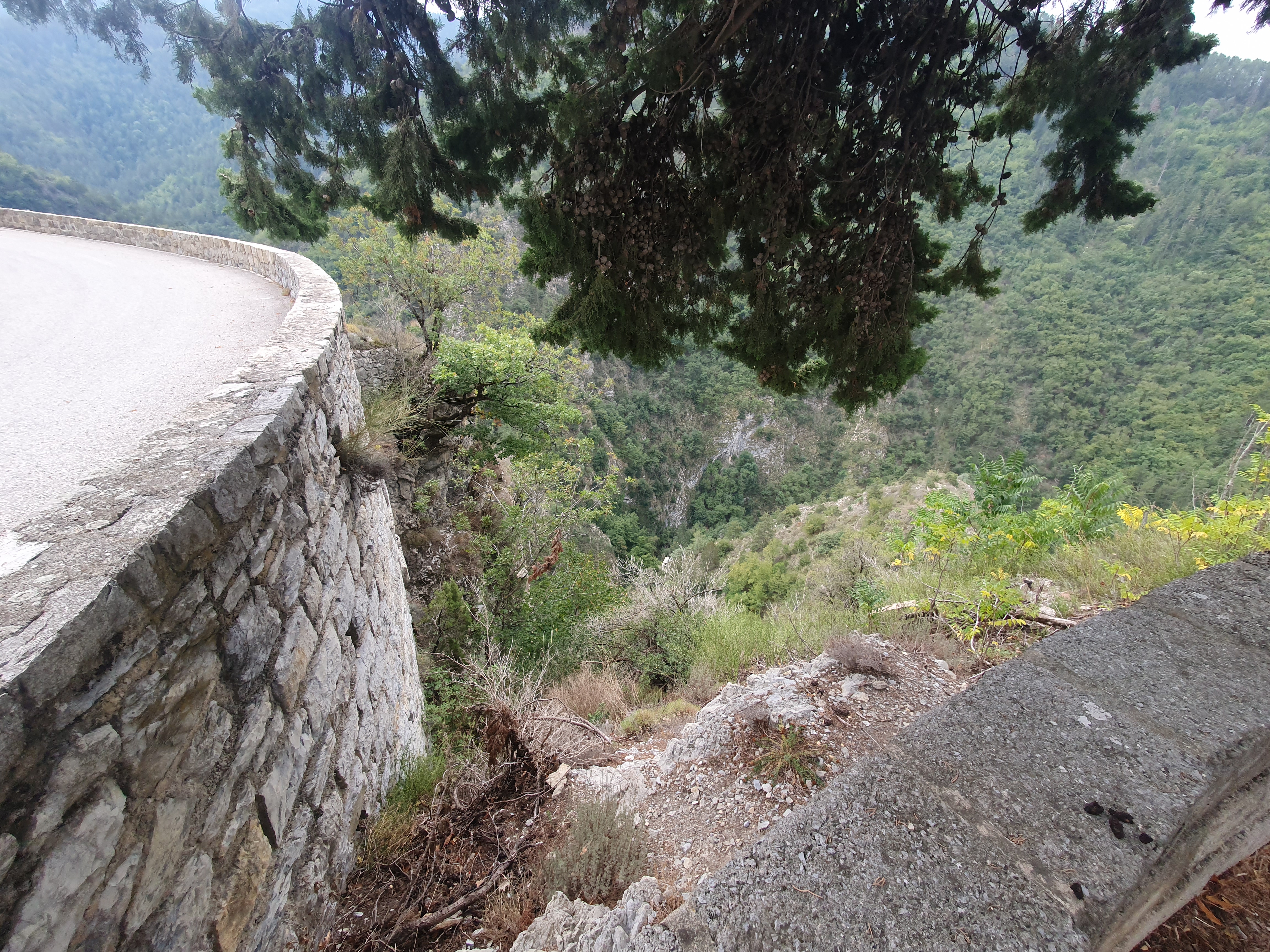 Col de Turini