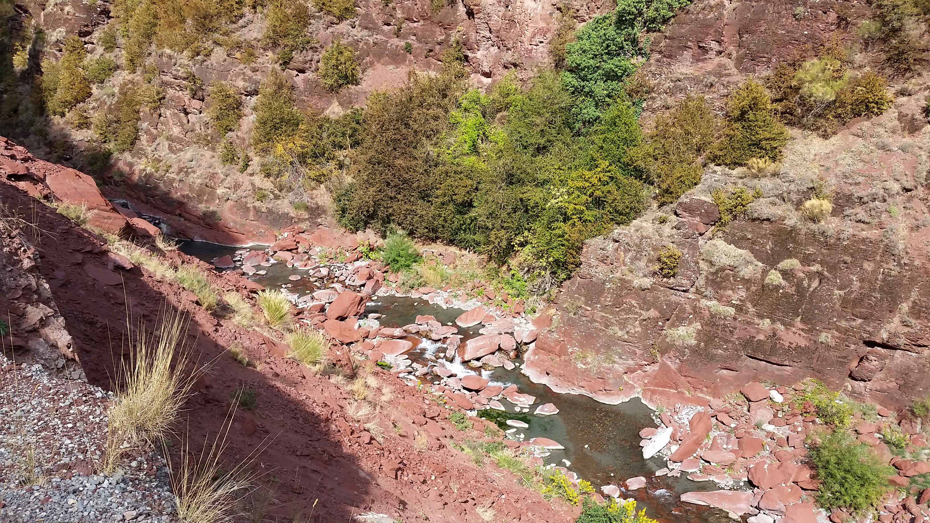 Gorges de Daluis