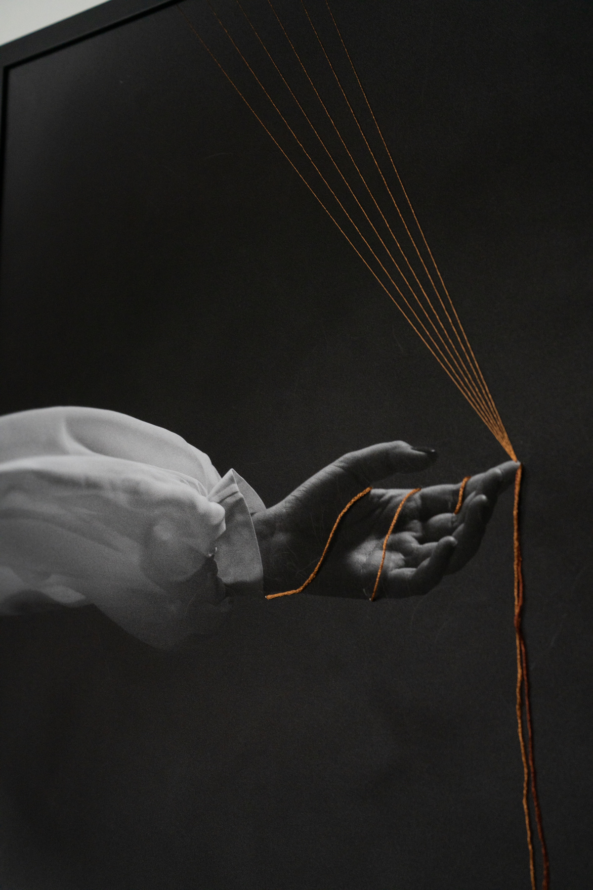 Foto 2 do ensaio Fotografia Autoral por Camilla Vieira, fotógrafa artística em Brasília