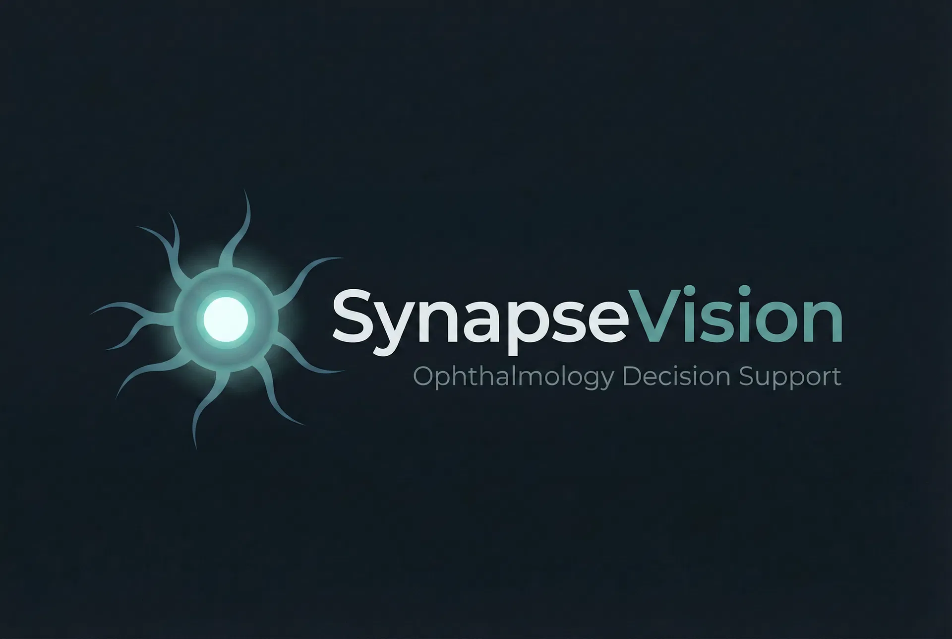 SynapseVision