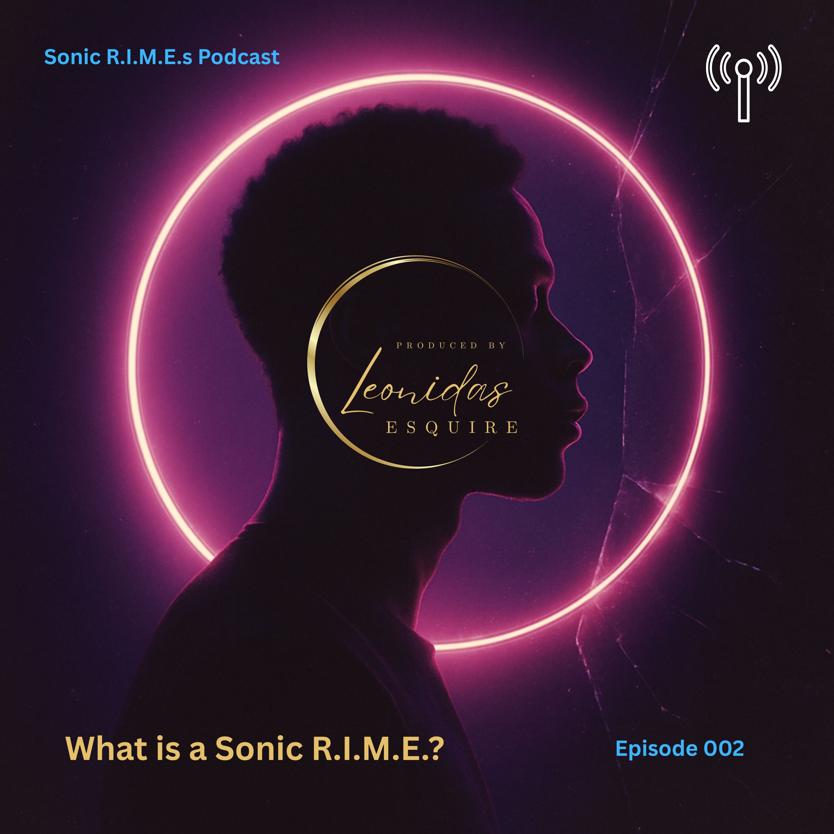 What is a Sonic R.I.M.E.?