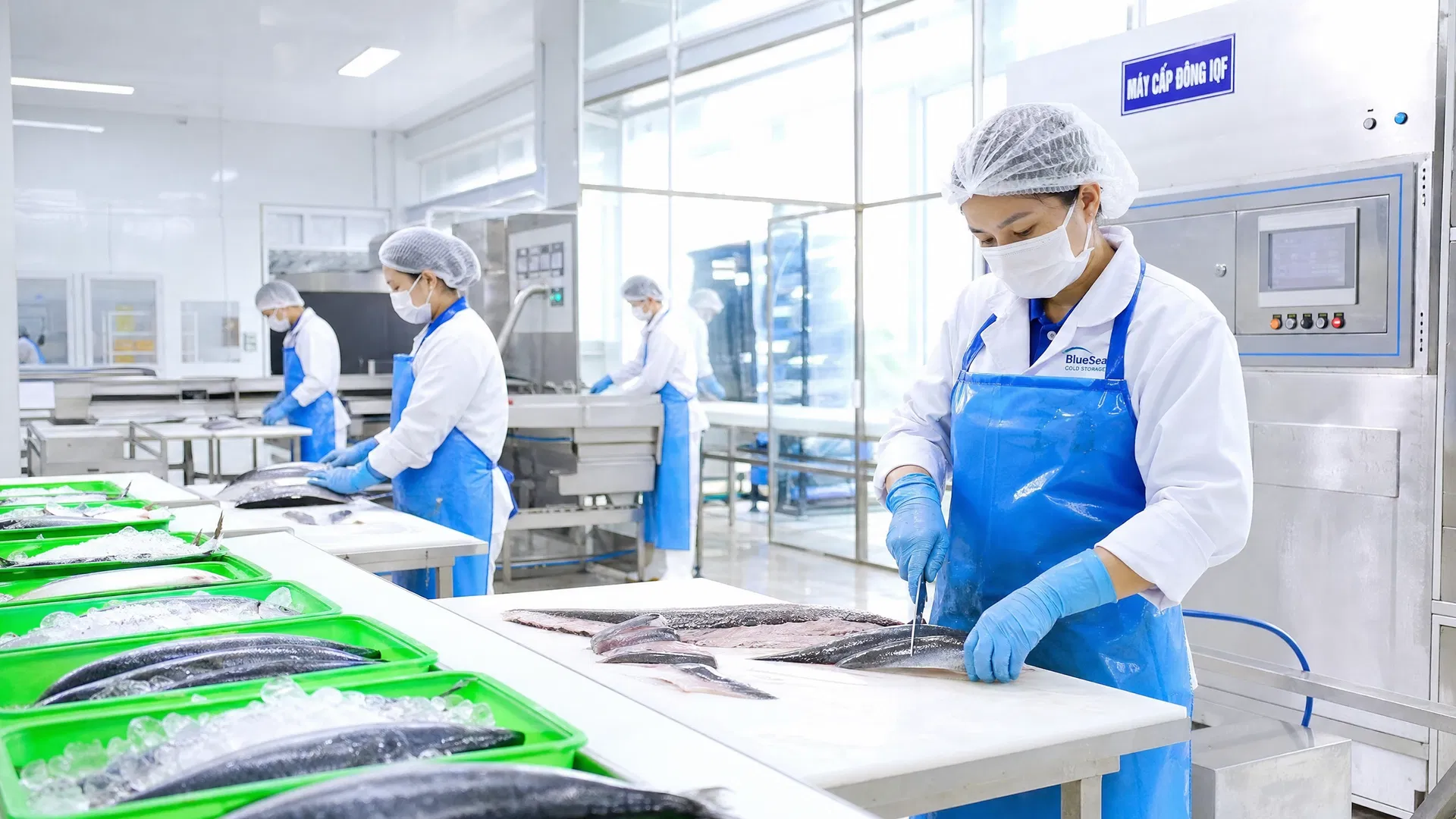 Zero-Waste Fish Processing