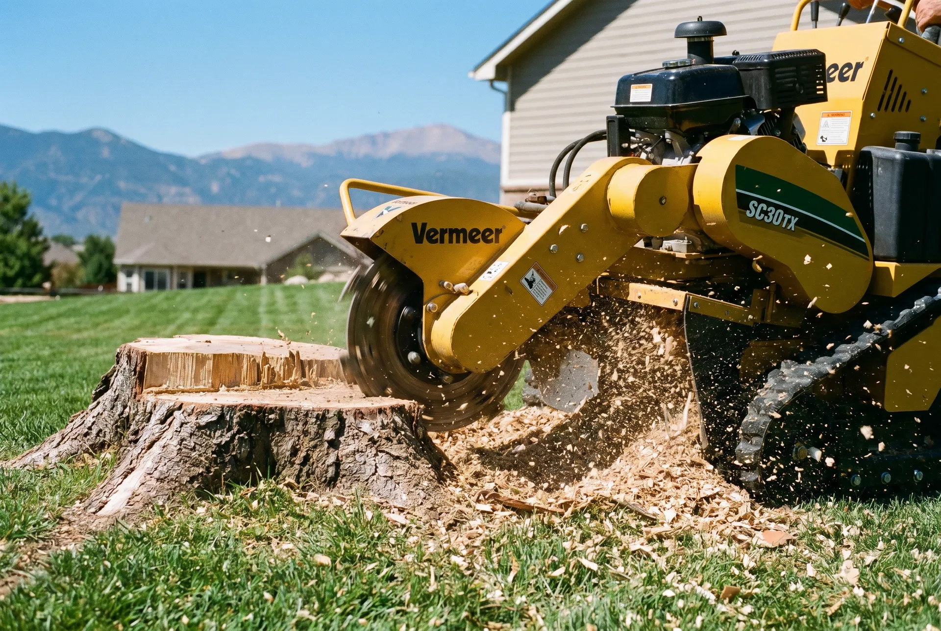 Stump Grinding — Complete Elimination