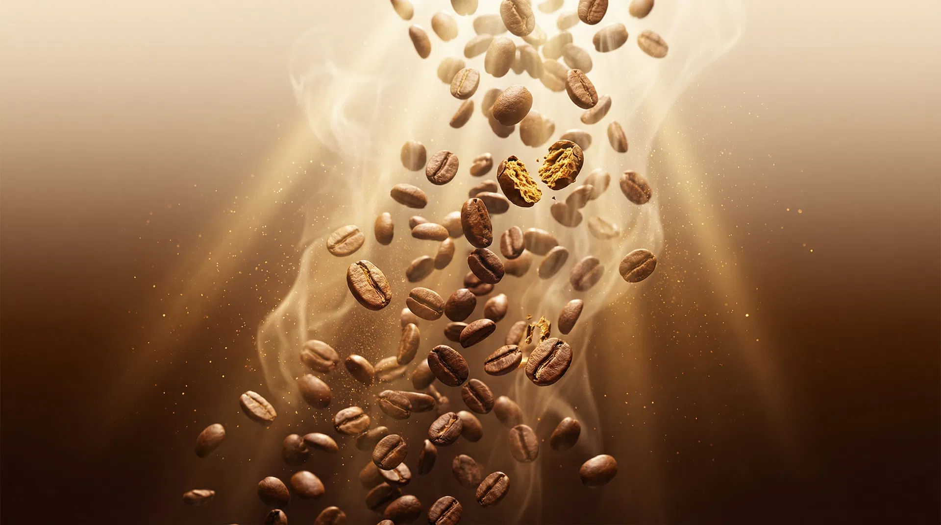 LightRoaster — Premium Fermented Specialty Coffee Beans from Colombia