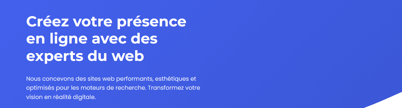 Web Marketing Consulting