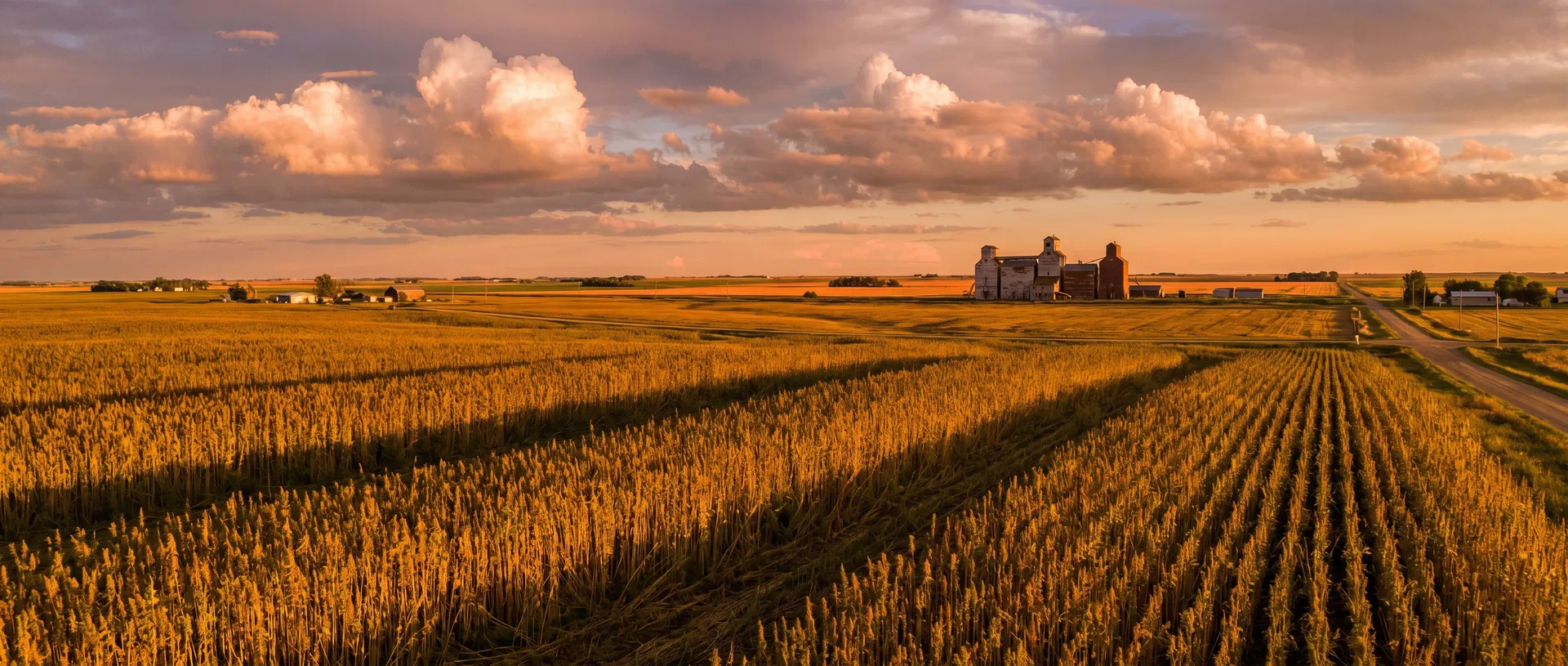 Prairie hemp fields at golden hour — Manitoba's sovereign supply chain