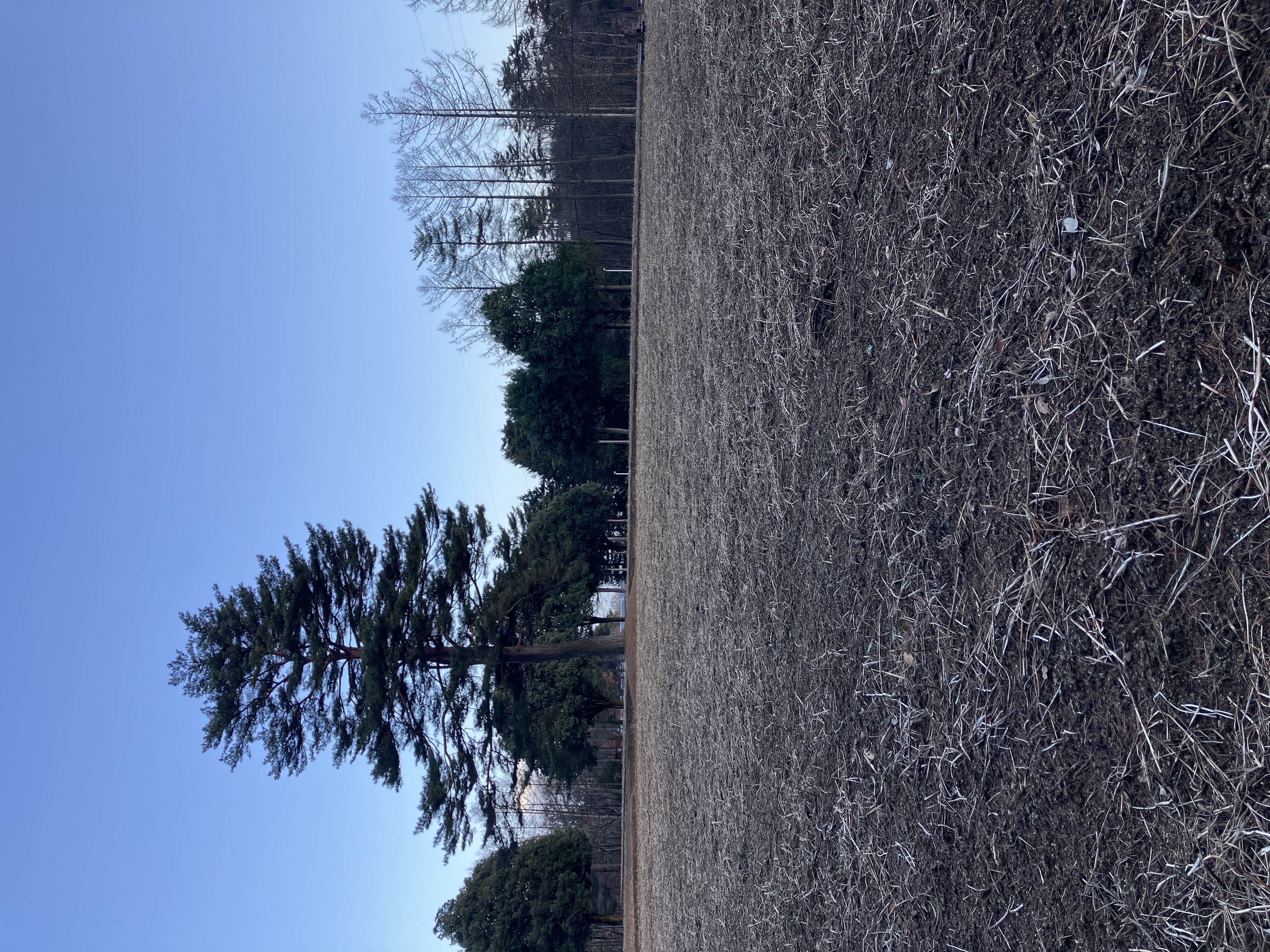 シン駒ヶ岳ガーデン