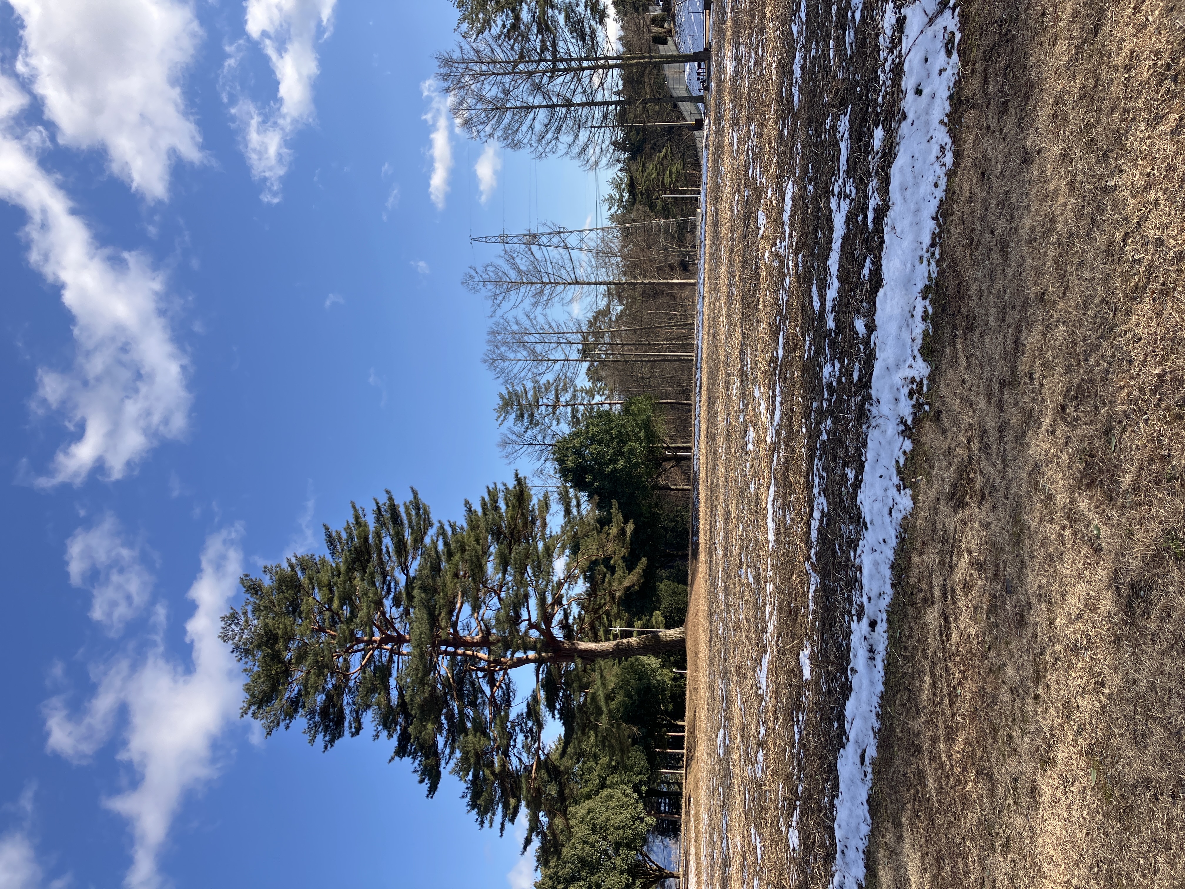 真の駒ヶ岳ガーデン