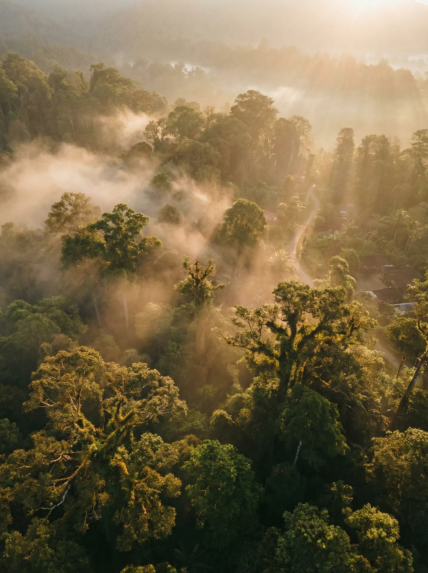 沉香森林 - 永續生態與循環經濟