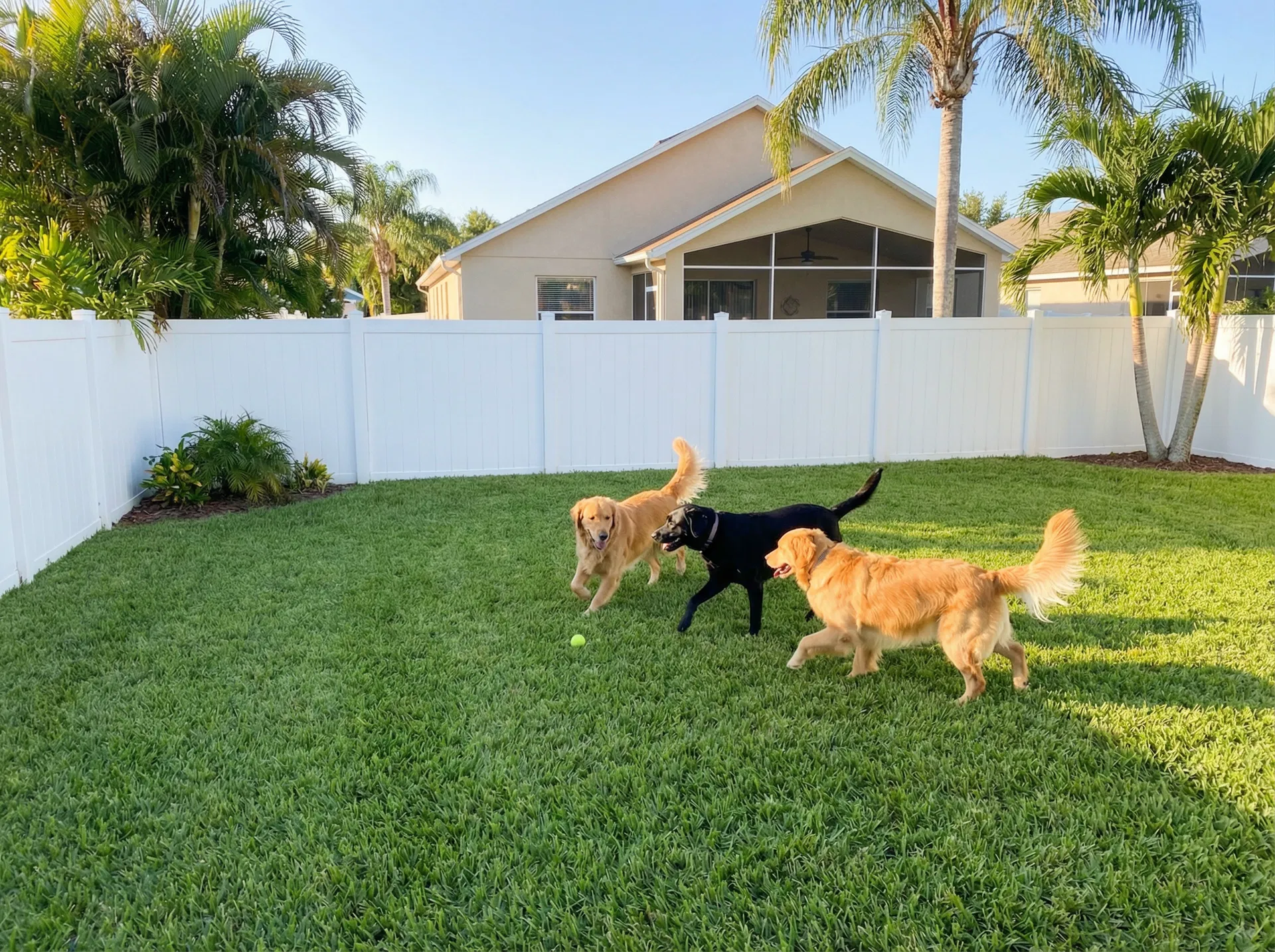 The Benefits of Weekly Pet Waste Removal for Wesley Chapel Homeowners