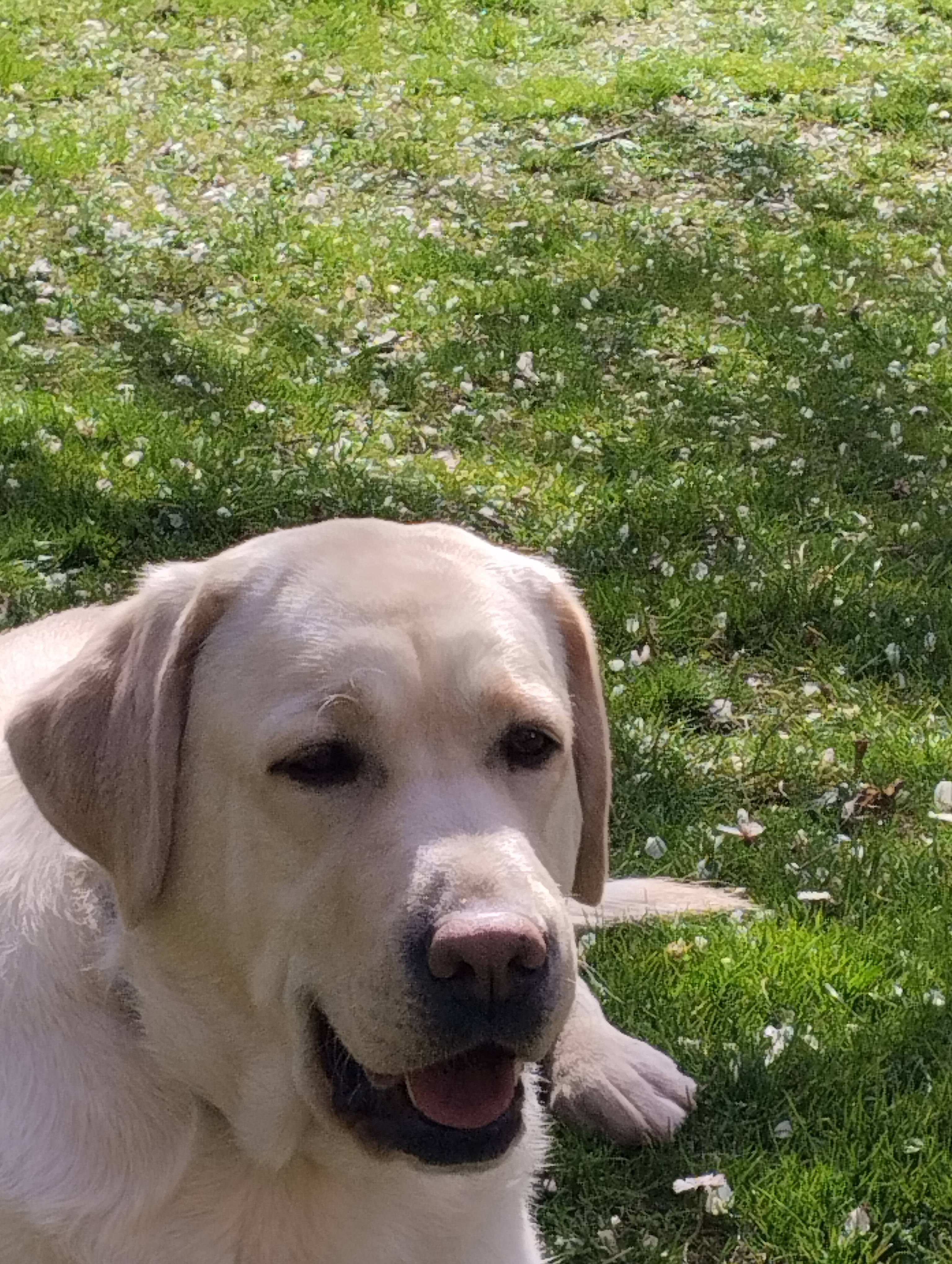 Pilar Carneiro De La Fuente