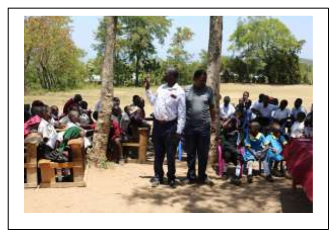 Art Exhibition Wall Display