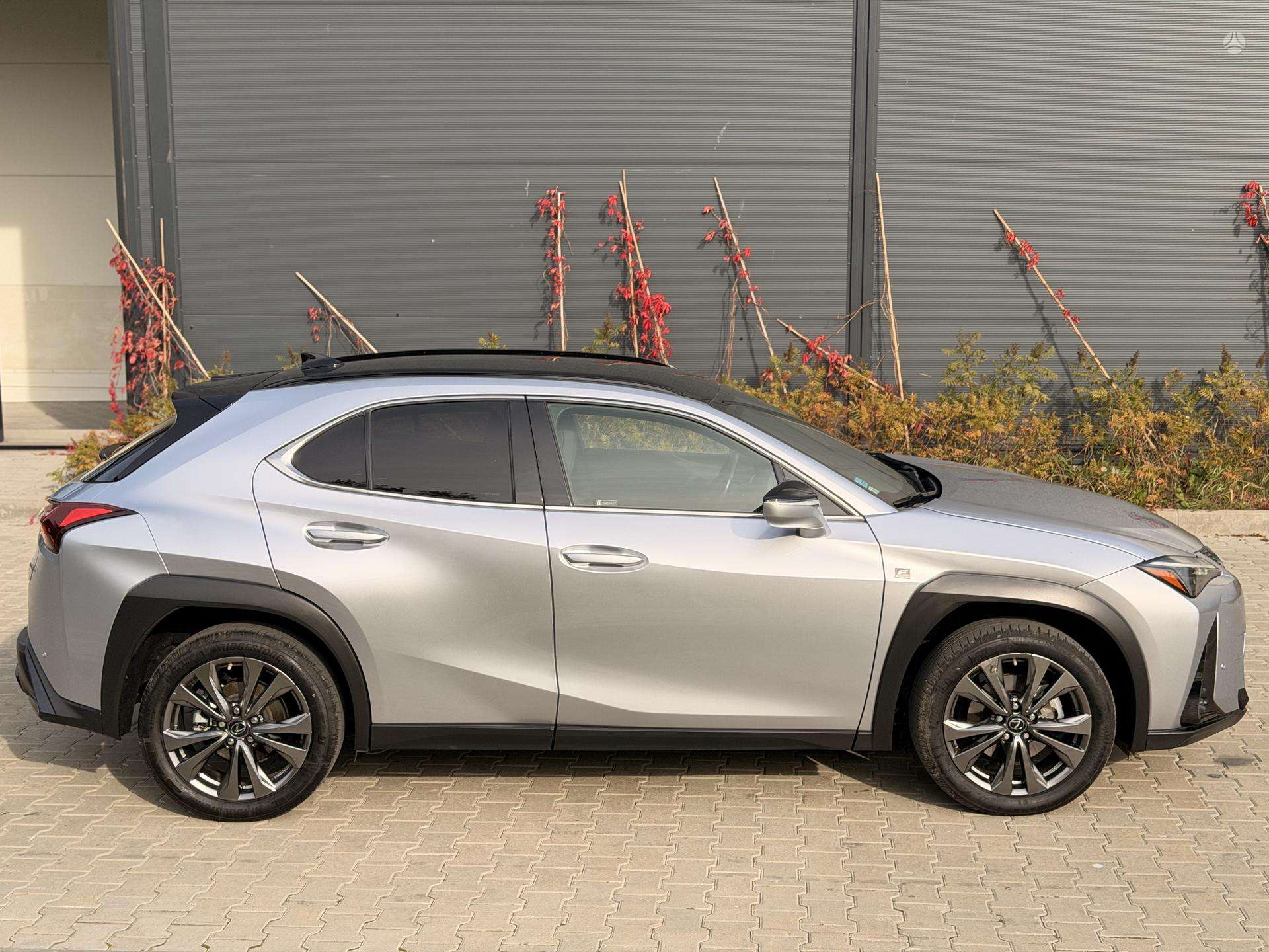 Lexus UX 250h nuotrauka 7