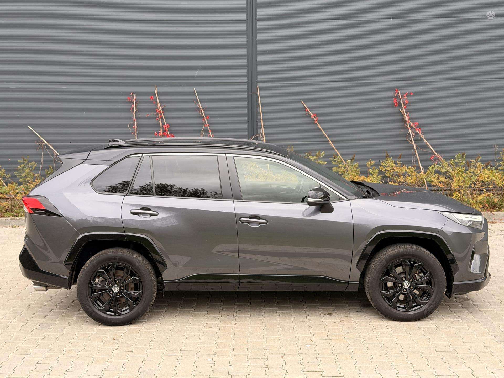 Toyota RAV4 nuotrauka 8