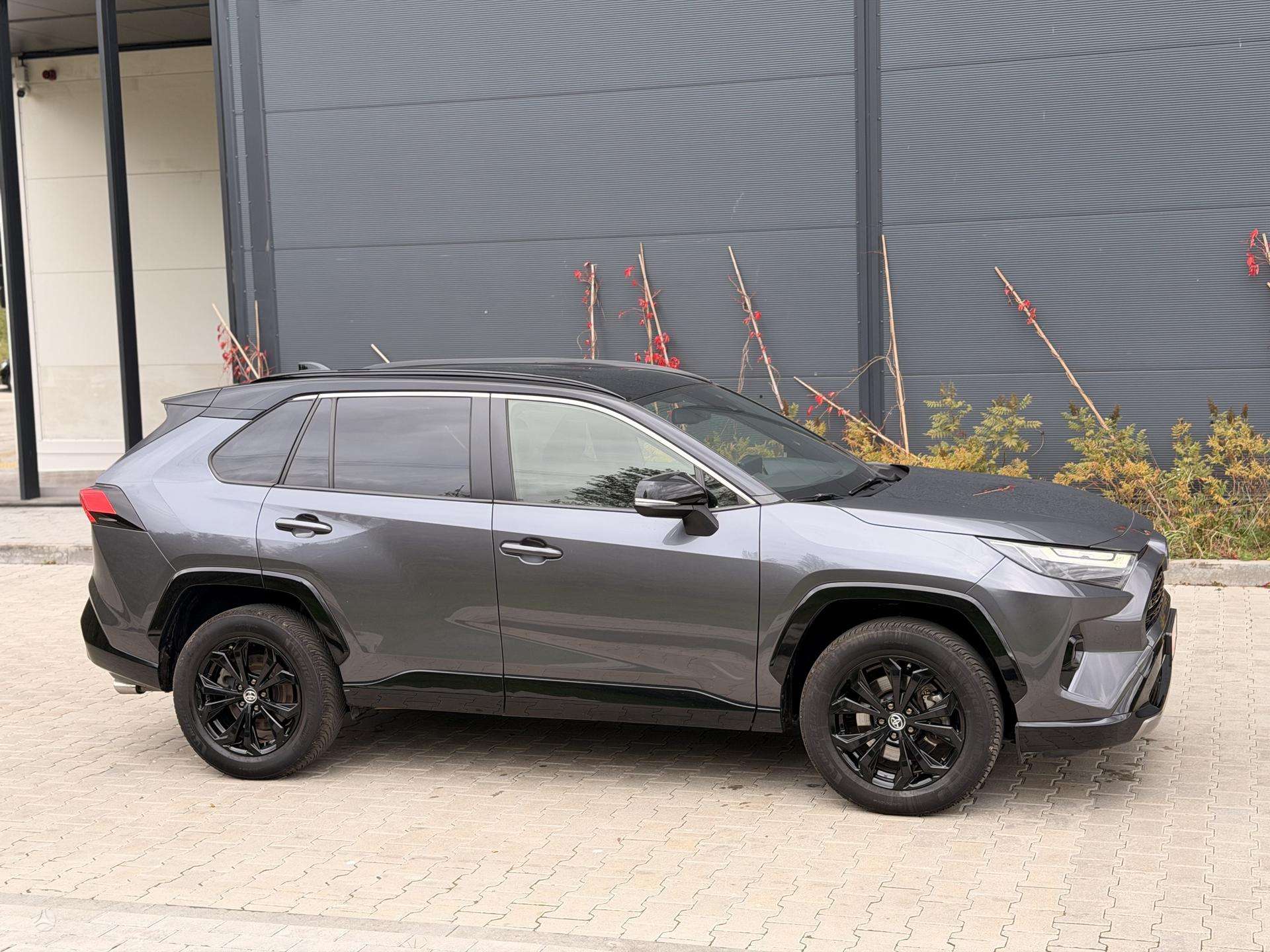 Toyota RAV4 nuotrauka 7