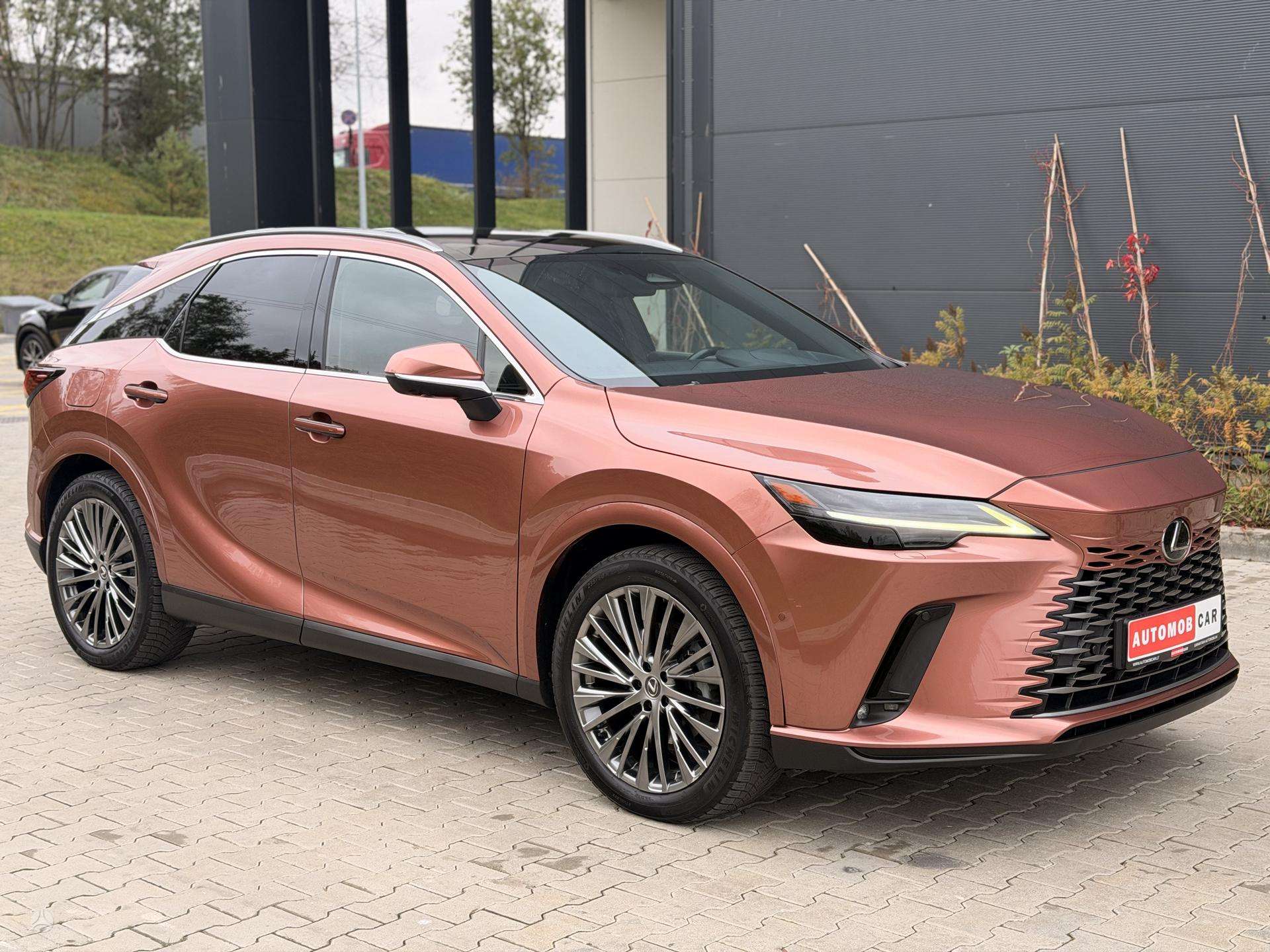Lexus Rx 450h nuotrauka 6